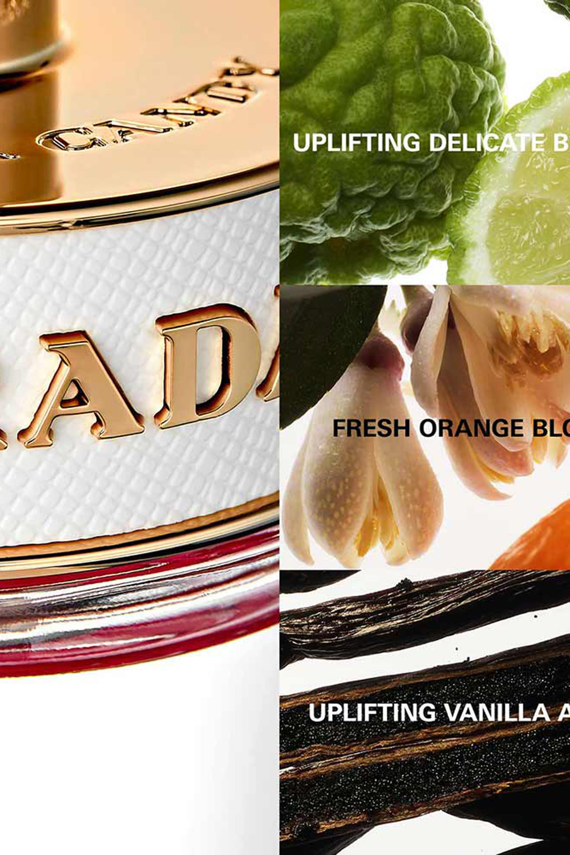 ماء عطر برادا كاندي كيس