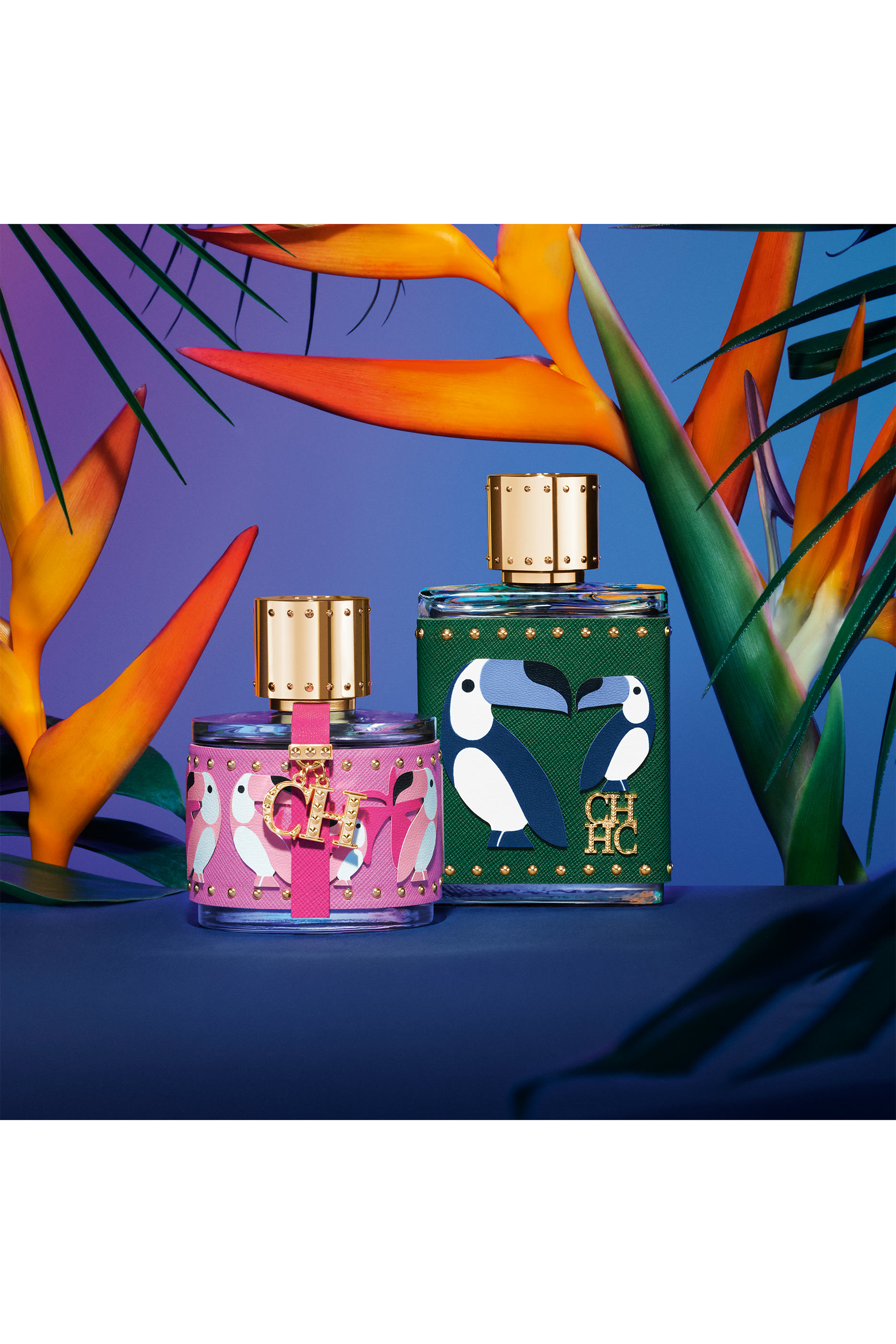 أو دو بارفان سي إتش مين بيردز أوف بارادايس