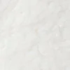 عاجي