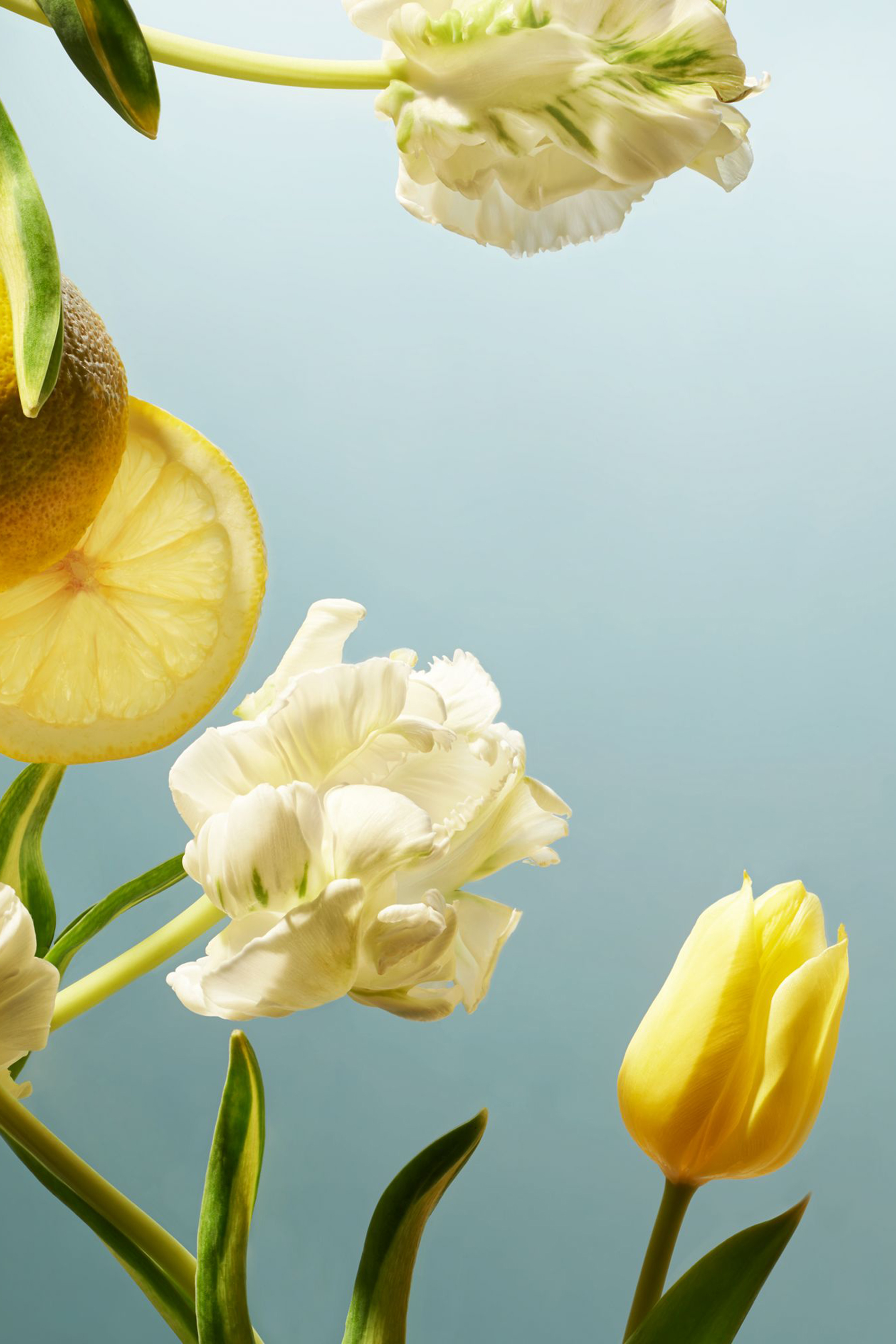 بخاخ معطر للمنزل من تشكيلة امستردام، 500 ملل