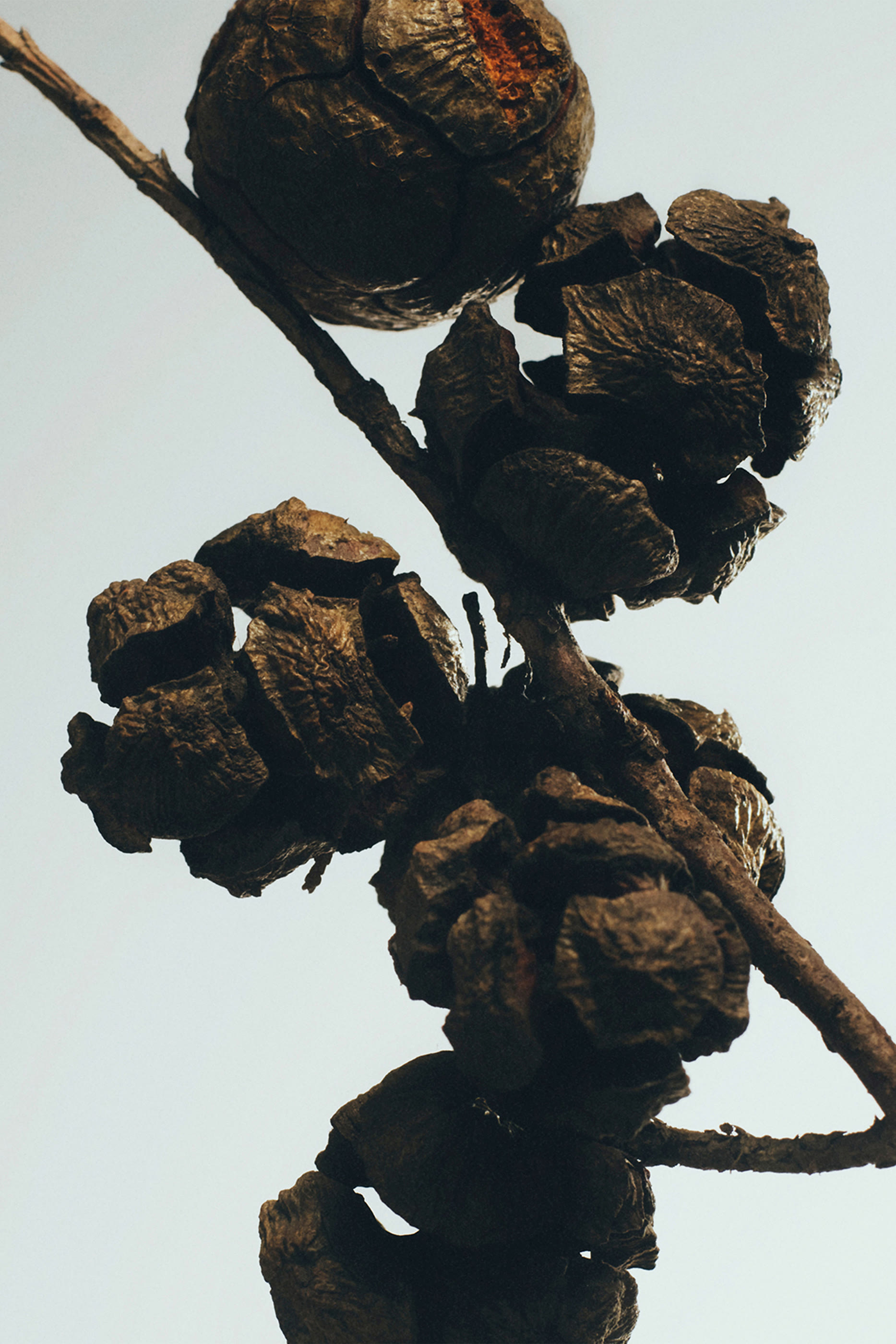 شمعة معطرة بلو سايبرس