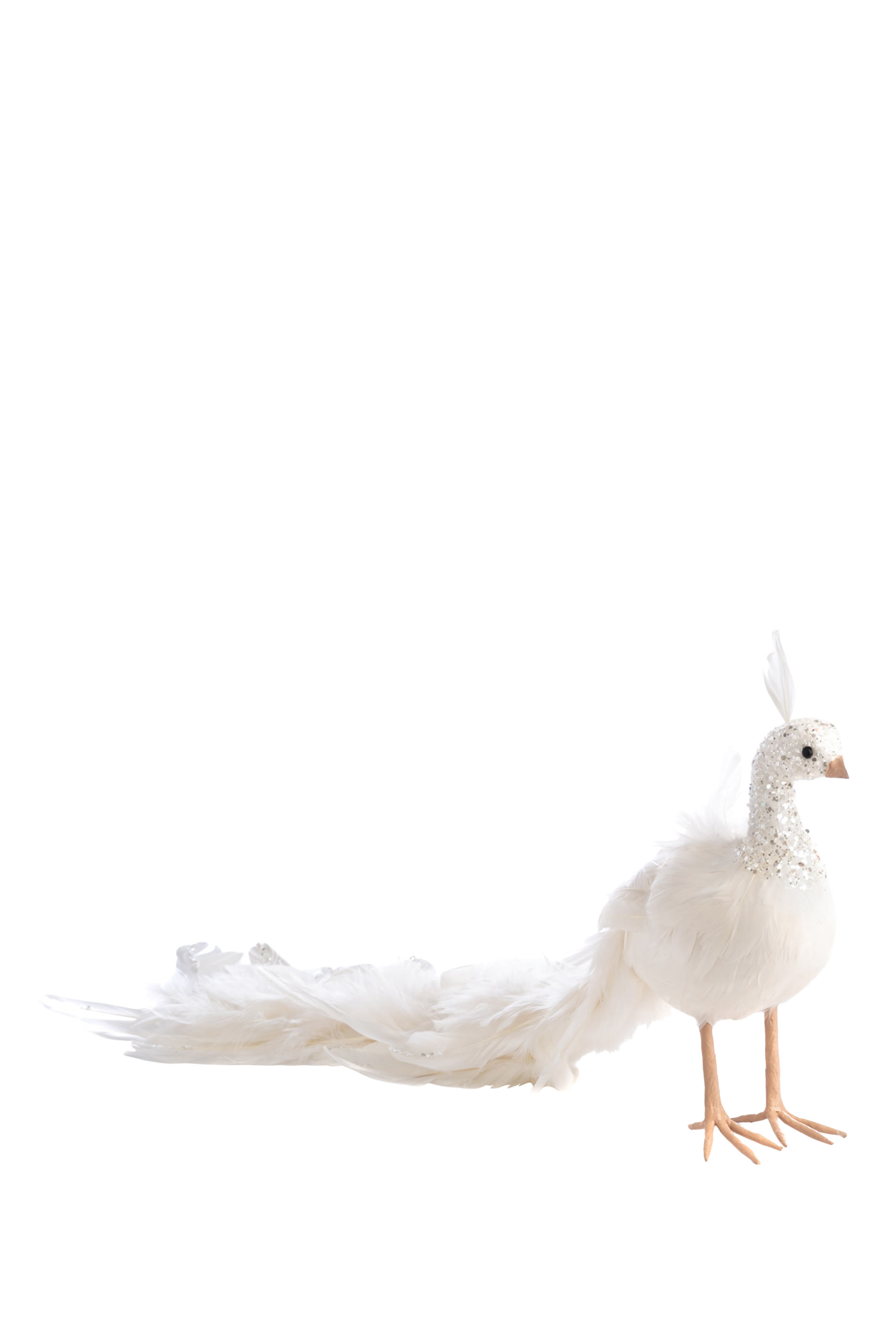 قطعت ديكور بتصميم طاووس بريش