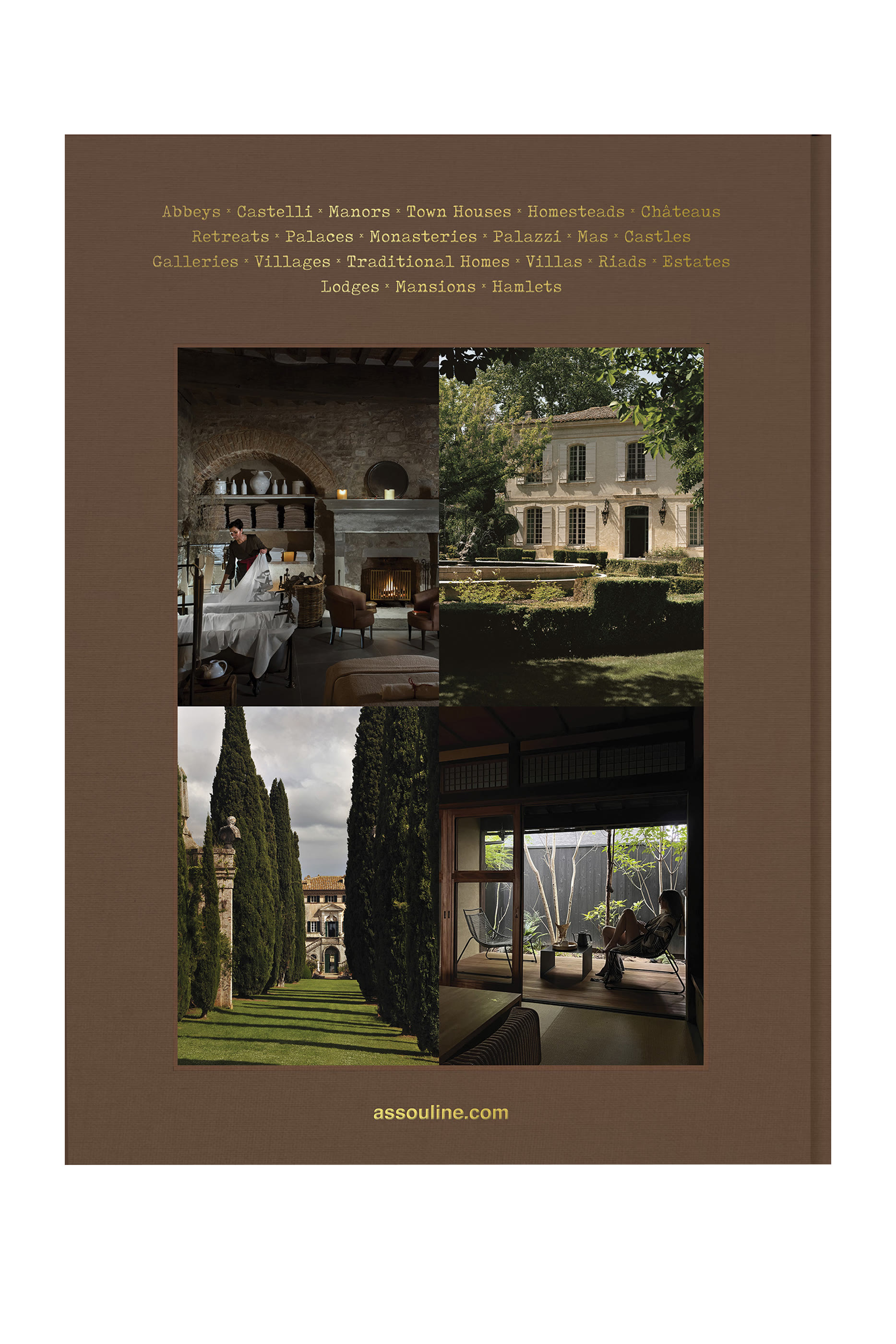 كتاب سيكريت ستايز: باينيرينج هوستس اوف ذا نيو شيك