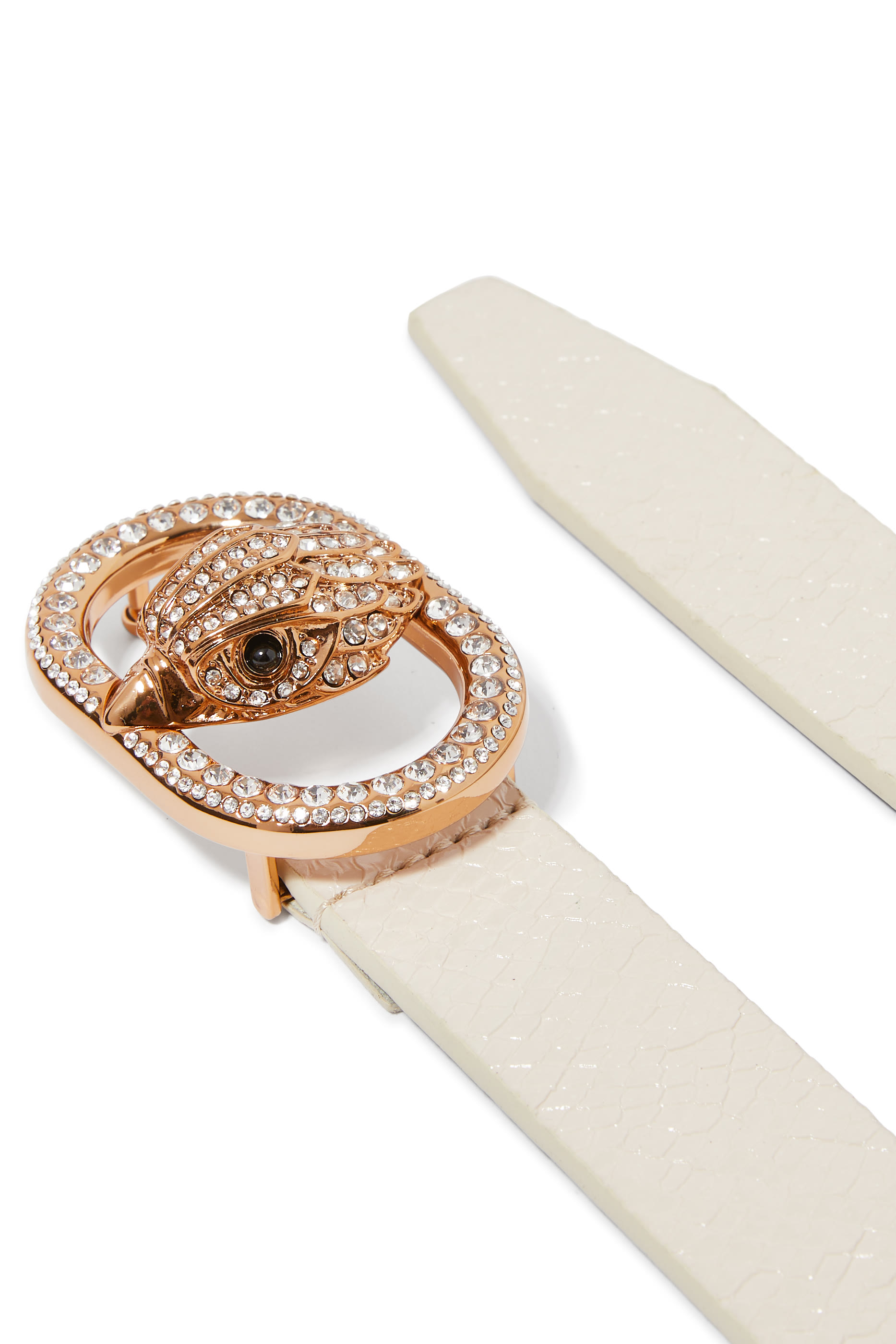 حزام تشيلسي