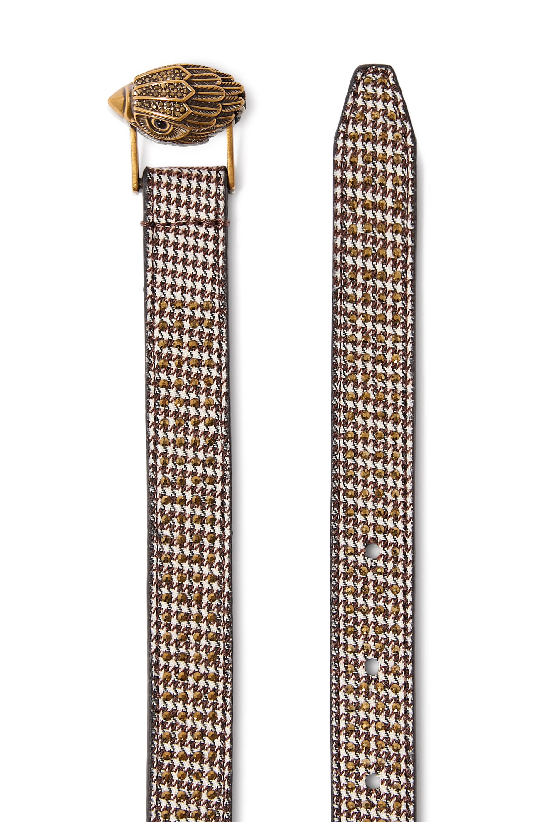 حزام بشعار النسر