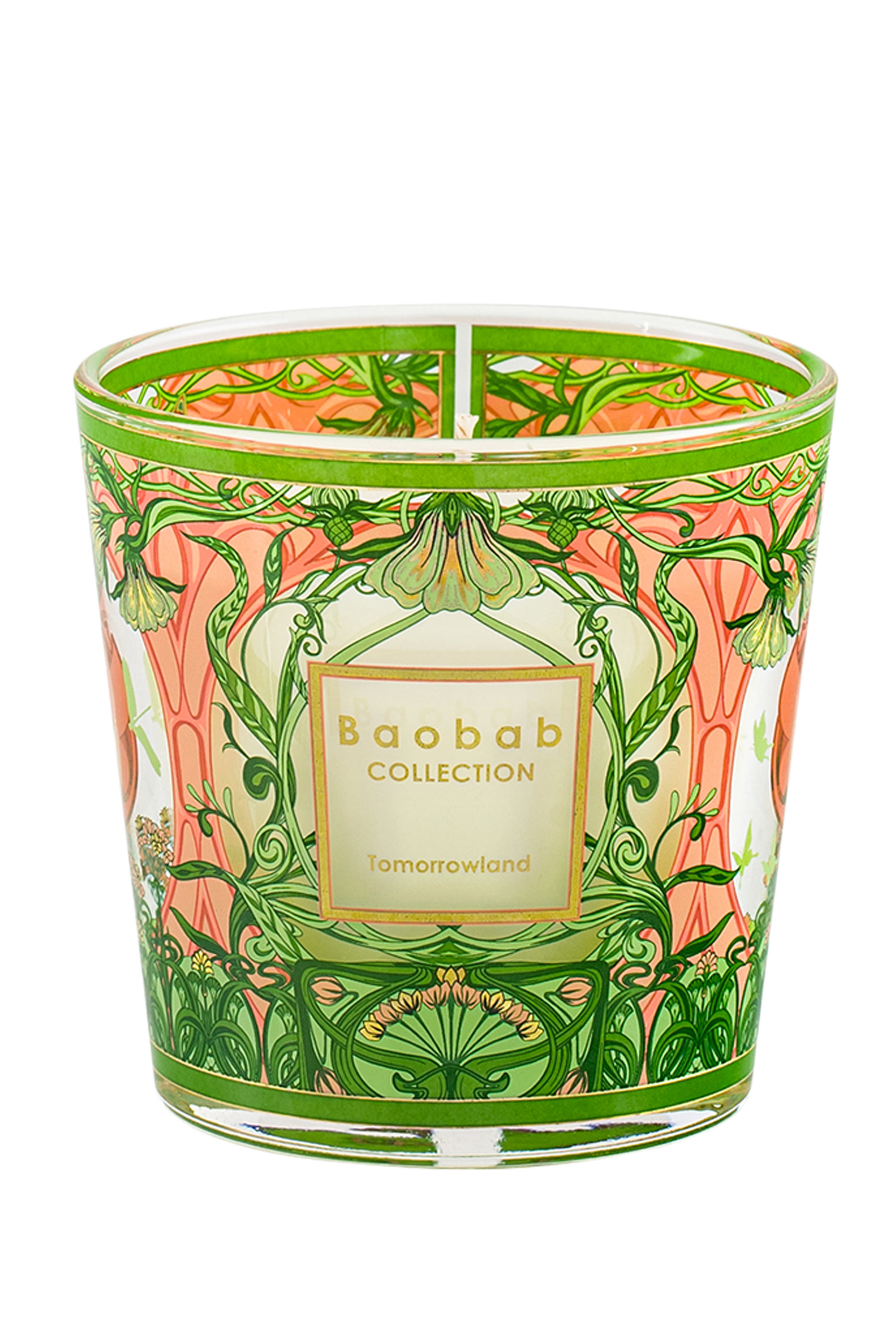 شمعة ماي فرست باوباب تومورولاند 2024