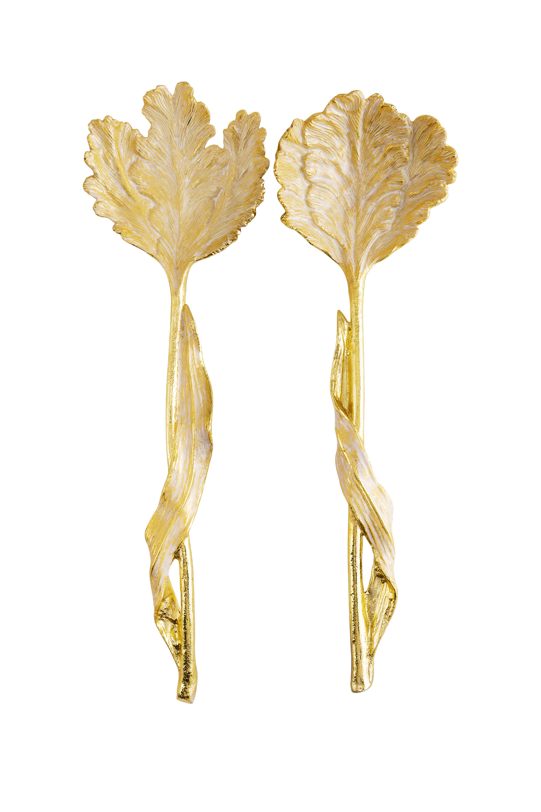 طقم تقديم توليب