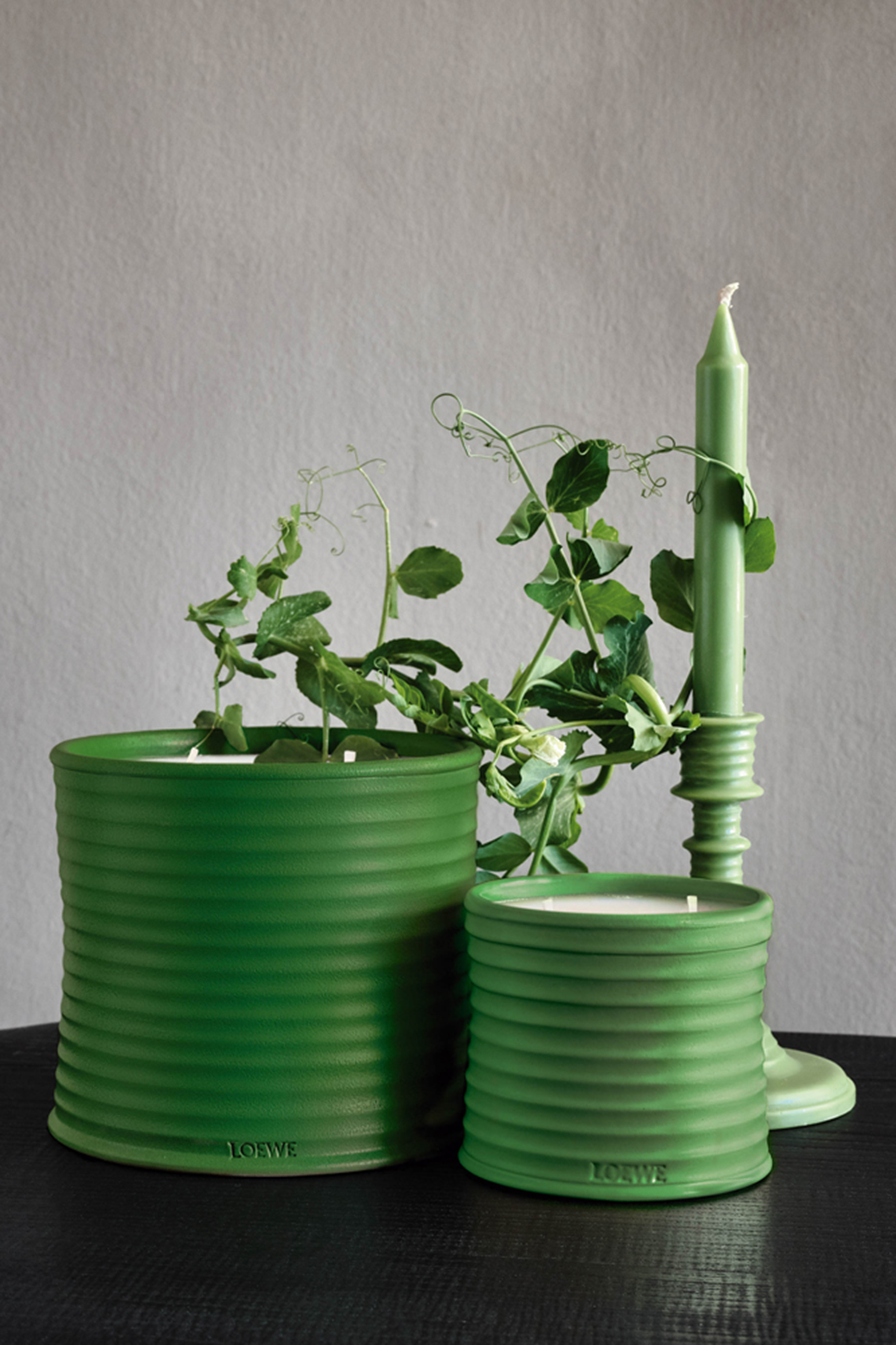 شمعة لوشيس بيي معرطة