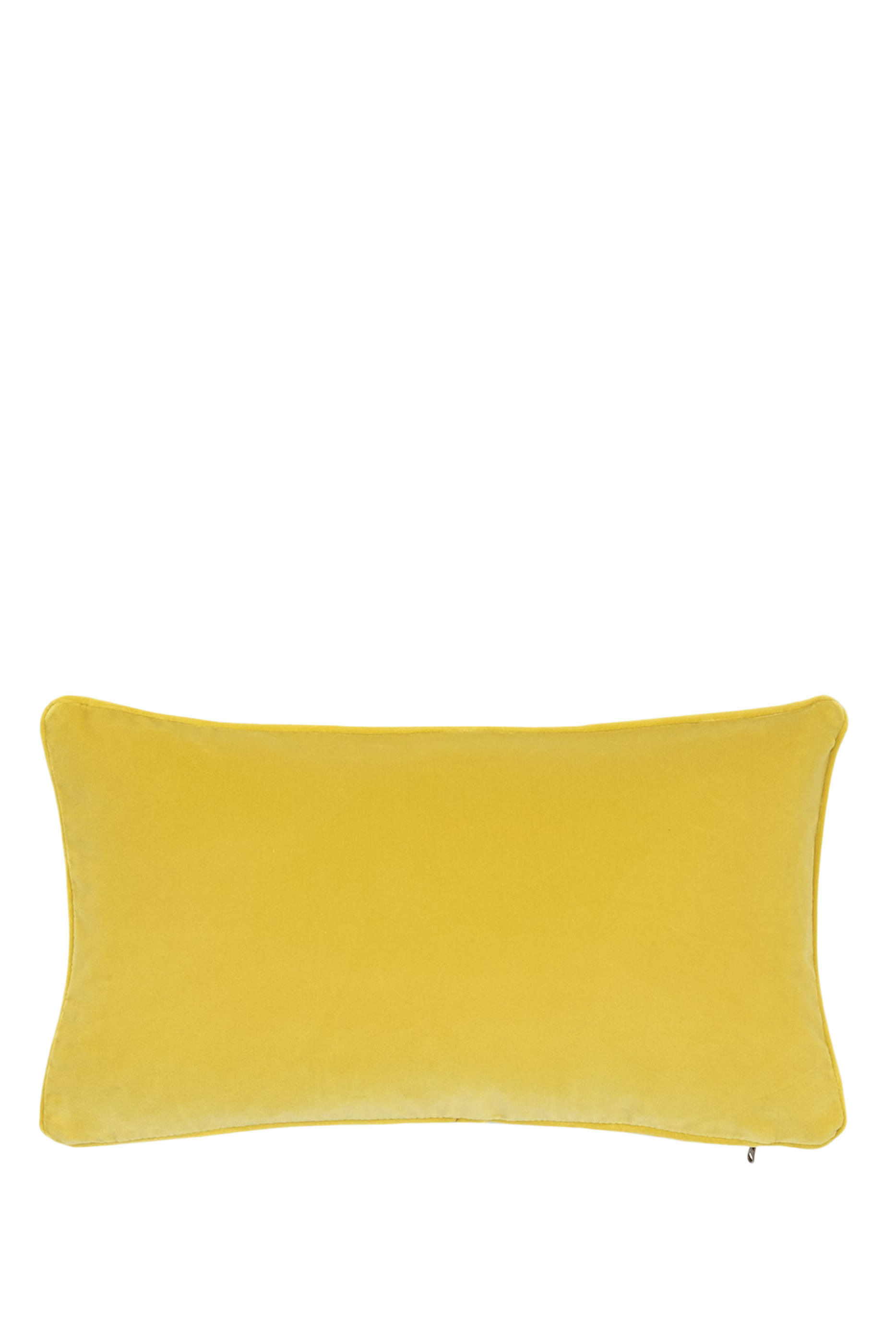 وسادة ديوان