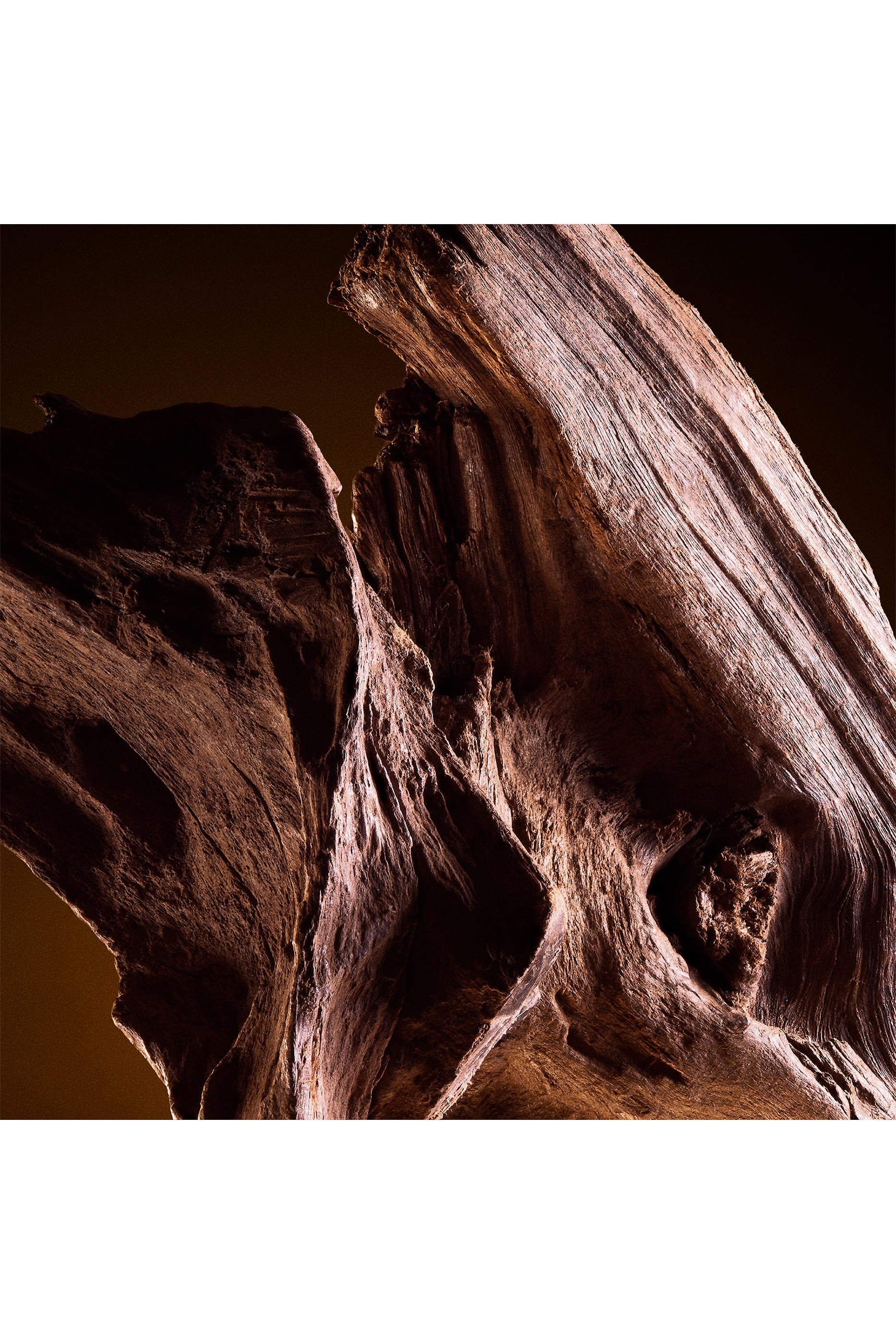 أو دو تواليت ذا وان للرجال