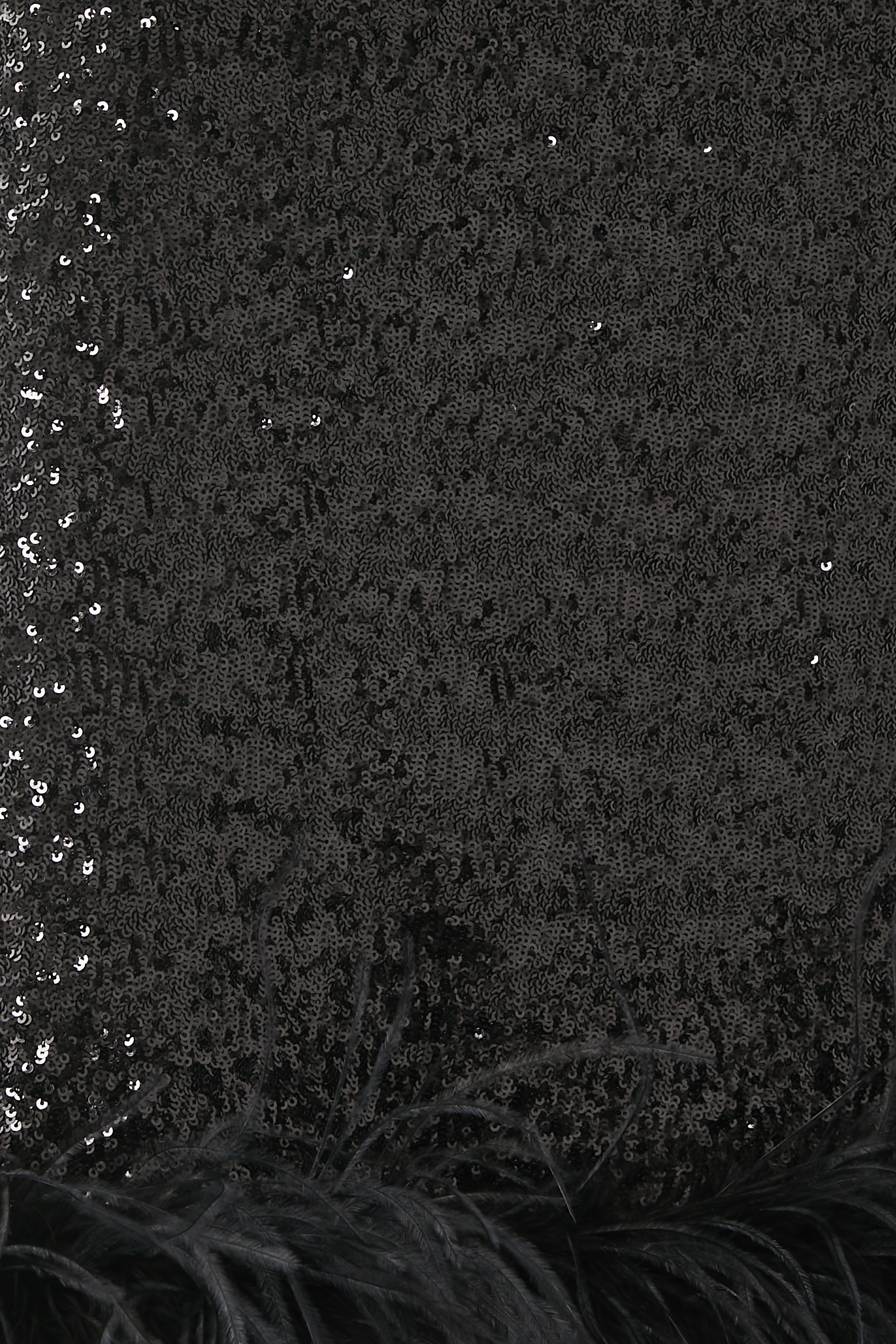 فستان بايتس مزين بالريش