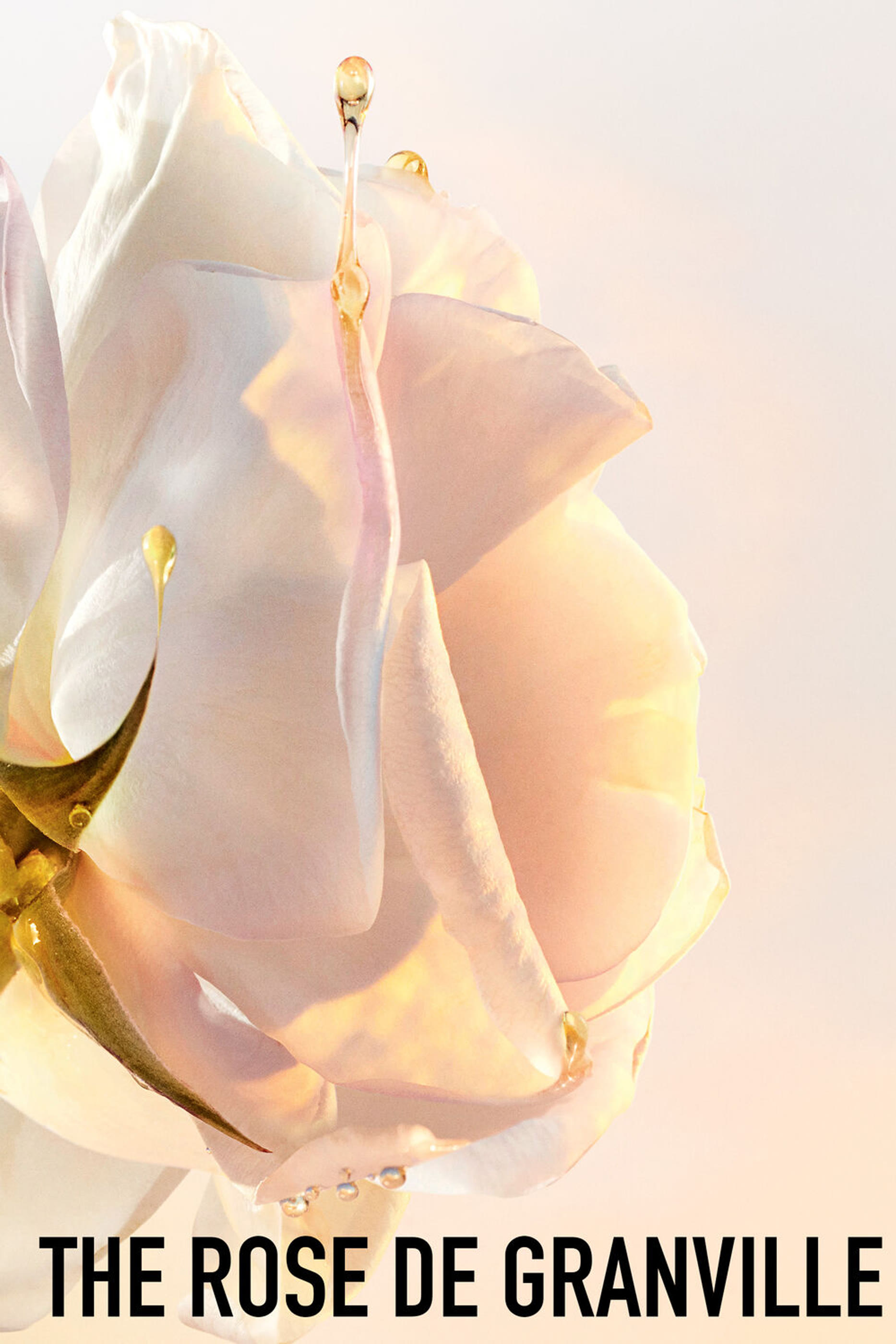 غسول مرطب ديور برستيج