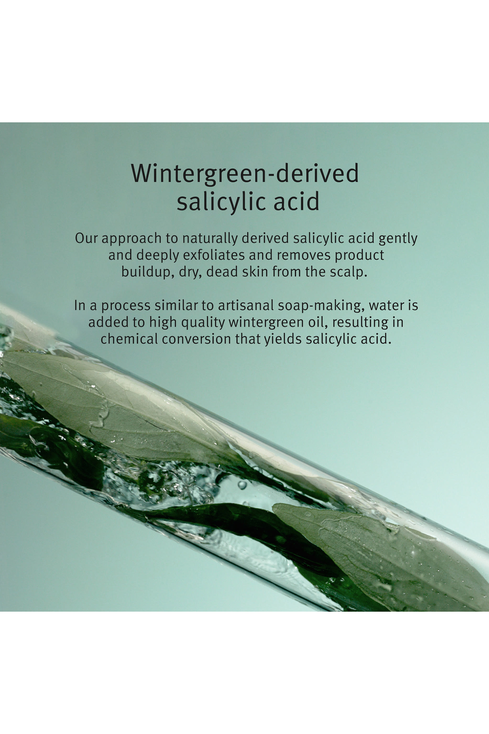 مستحضر علاجي سكالب سولوشنز لتقشير فروة الرأس