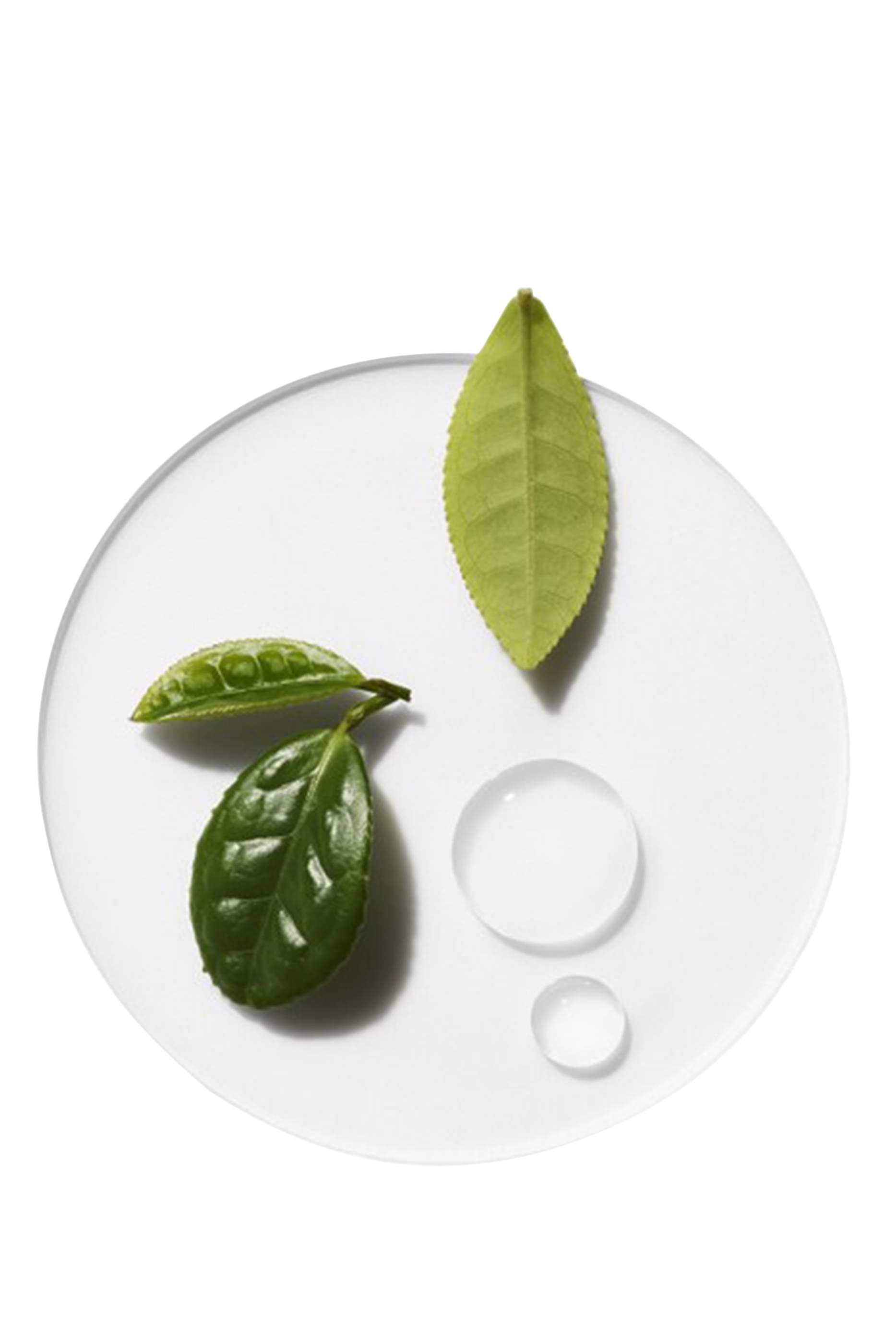 مجموعة الترطيب مويستشر سيرج 