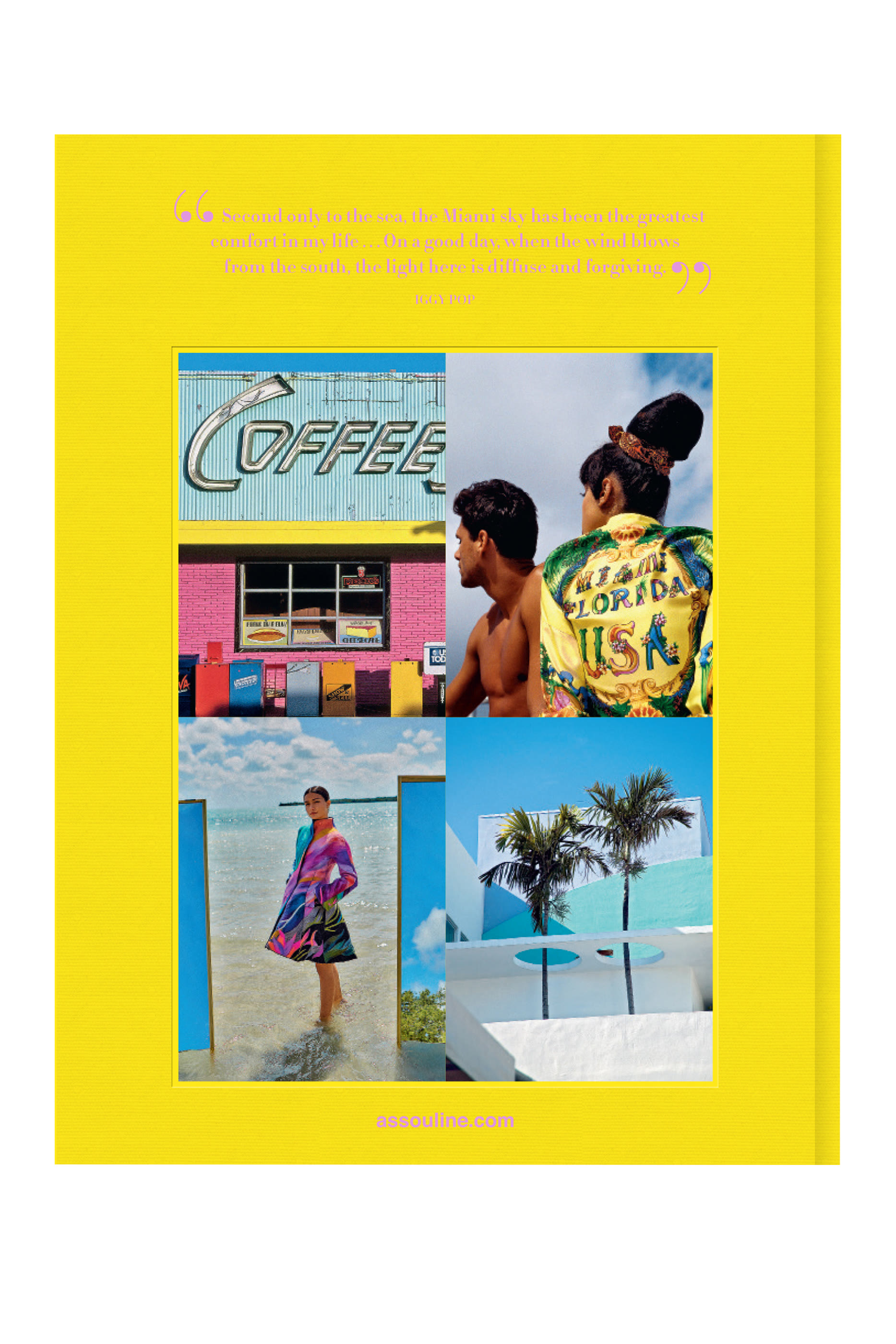 كتاب ميامي بيتج