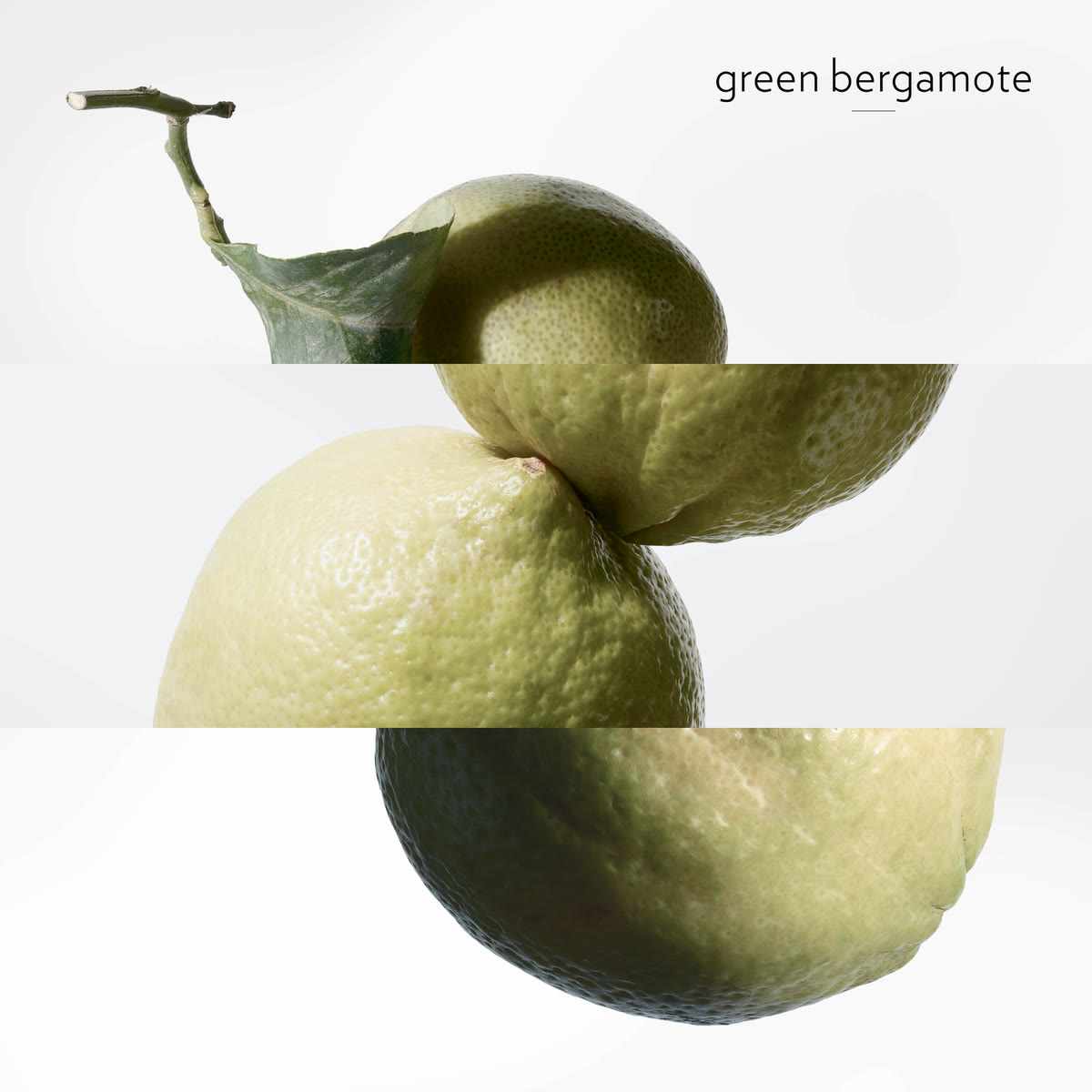 Eau de Basilic Pourpre, ماء كولونيا