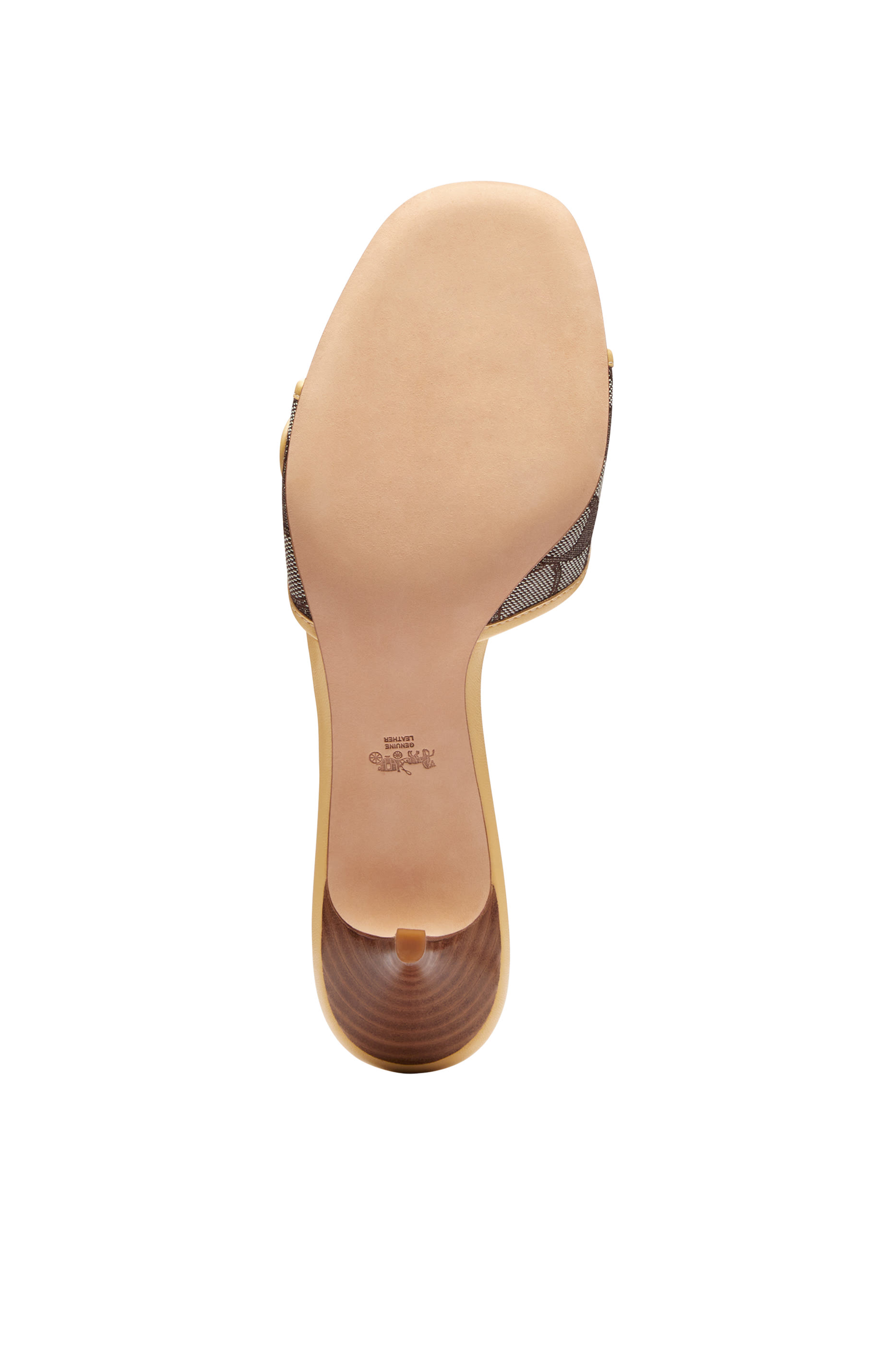 صندل سيغنتشر مارغوت جاكار 57