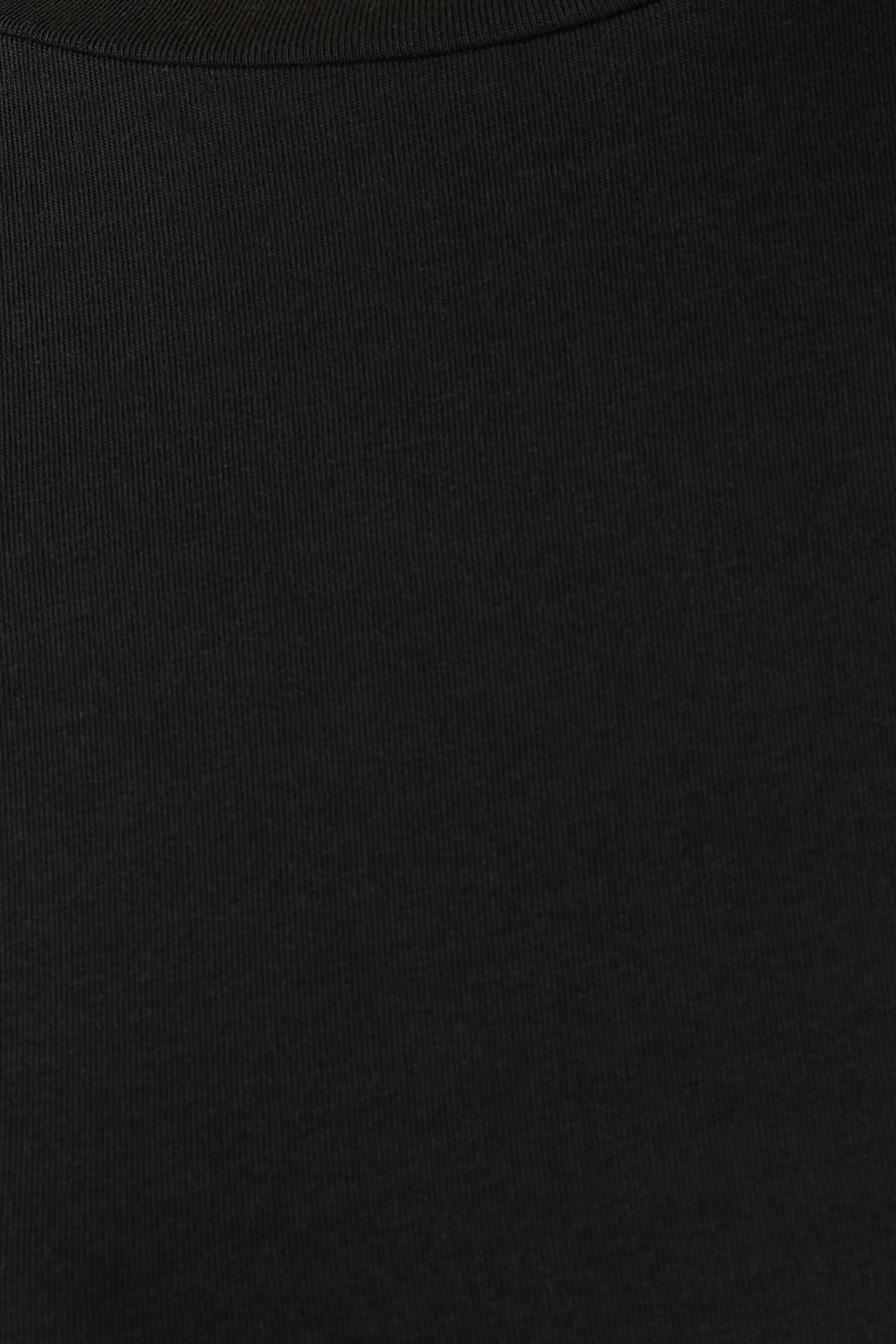Regina Fitted T-Shirt 