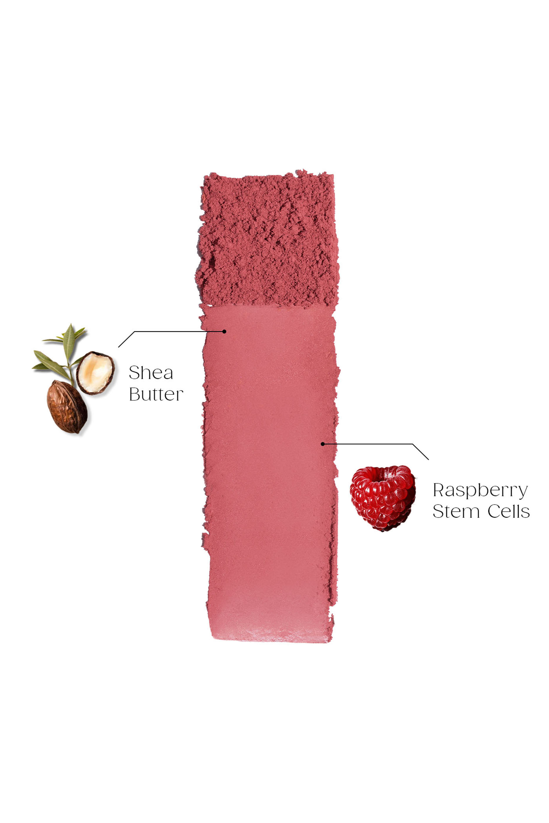 أحمر خدود بودرة سيلكي بلورينغ كشمير توتش