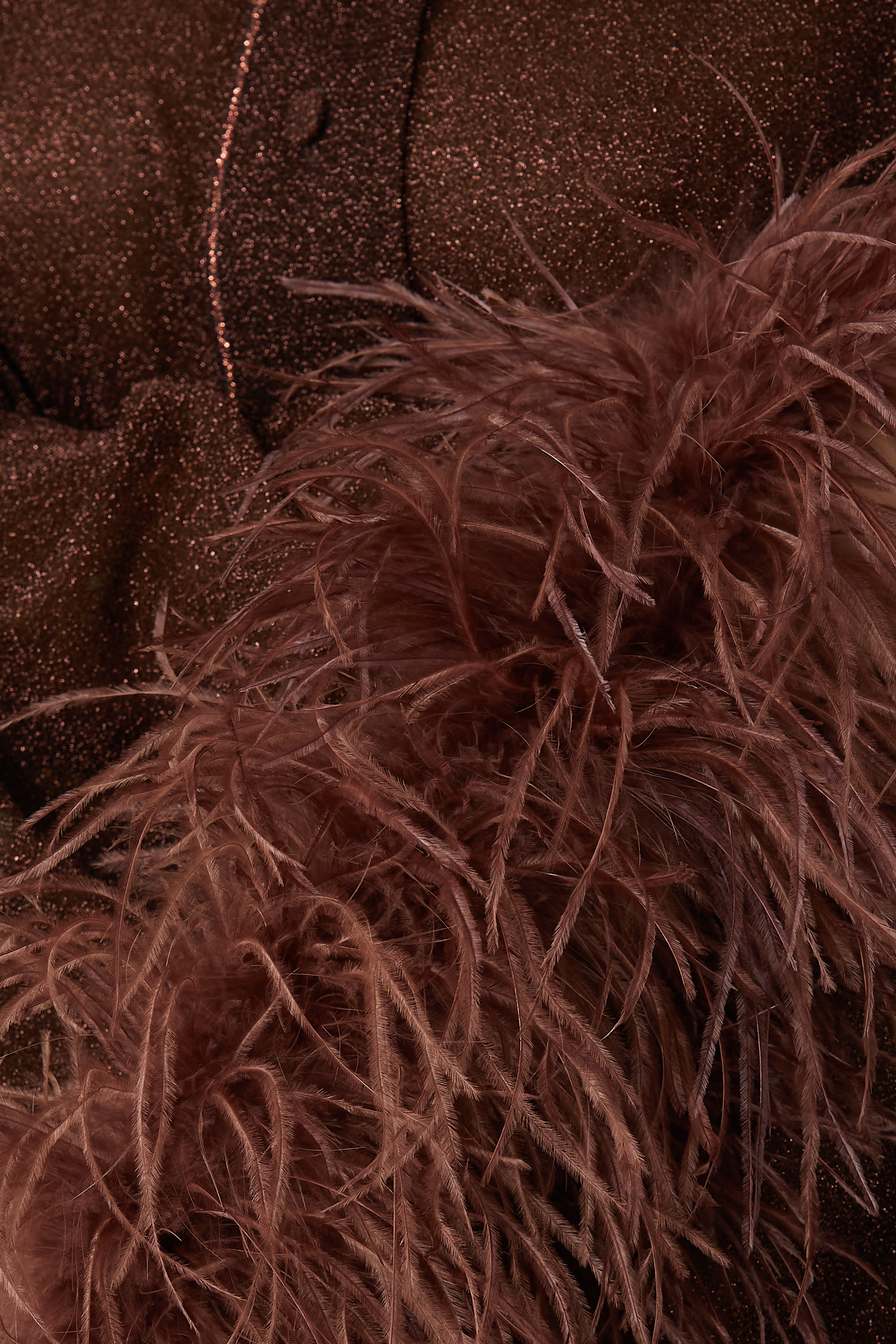 قميص لوميير بحواف مزينة بالريش