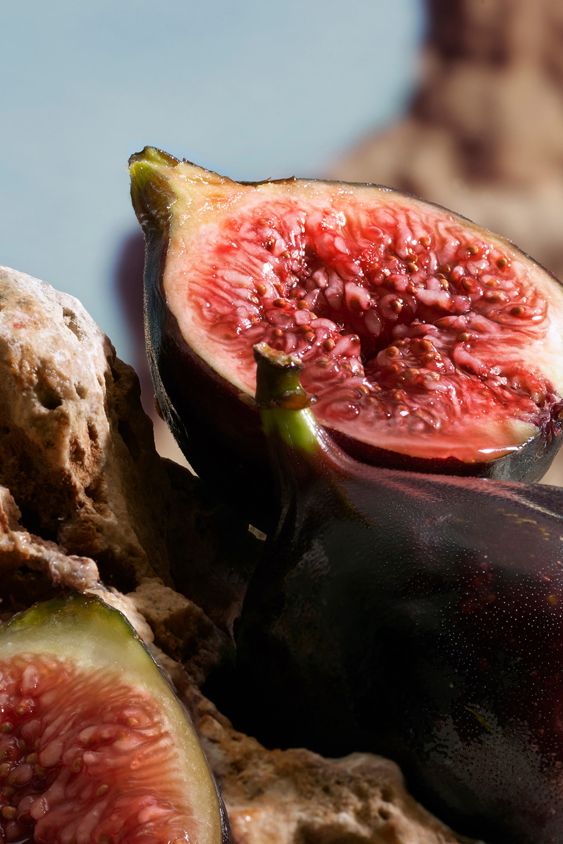 عطر كاي من دولتشي اند غابانا