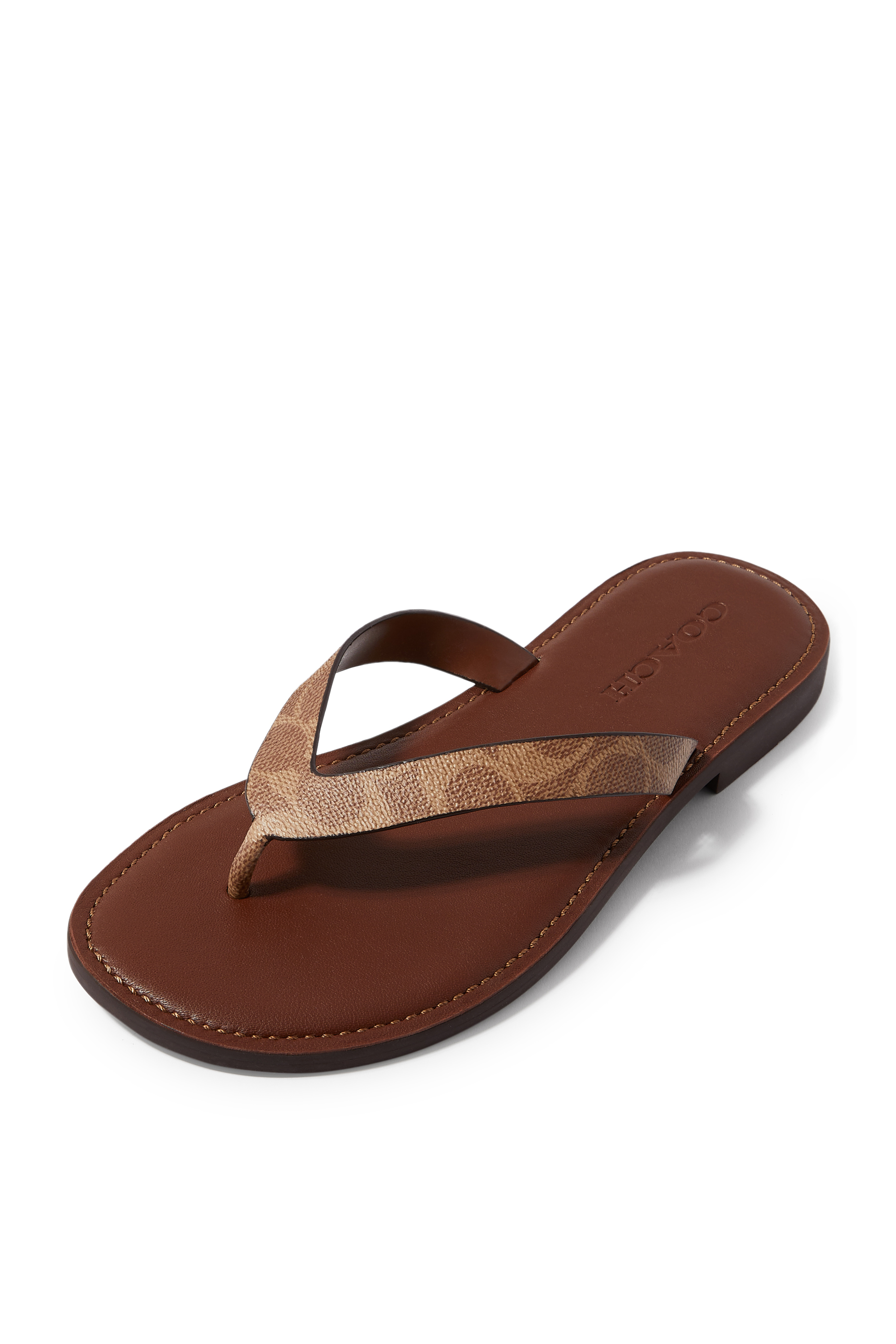 فليب فلوب بريانا