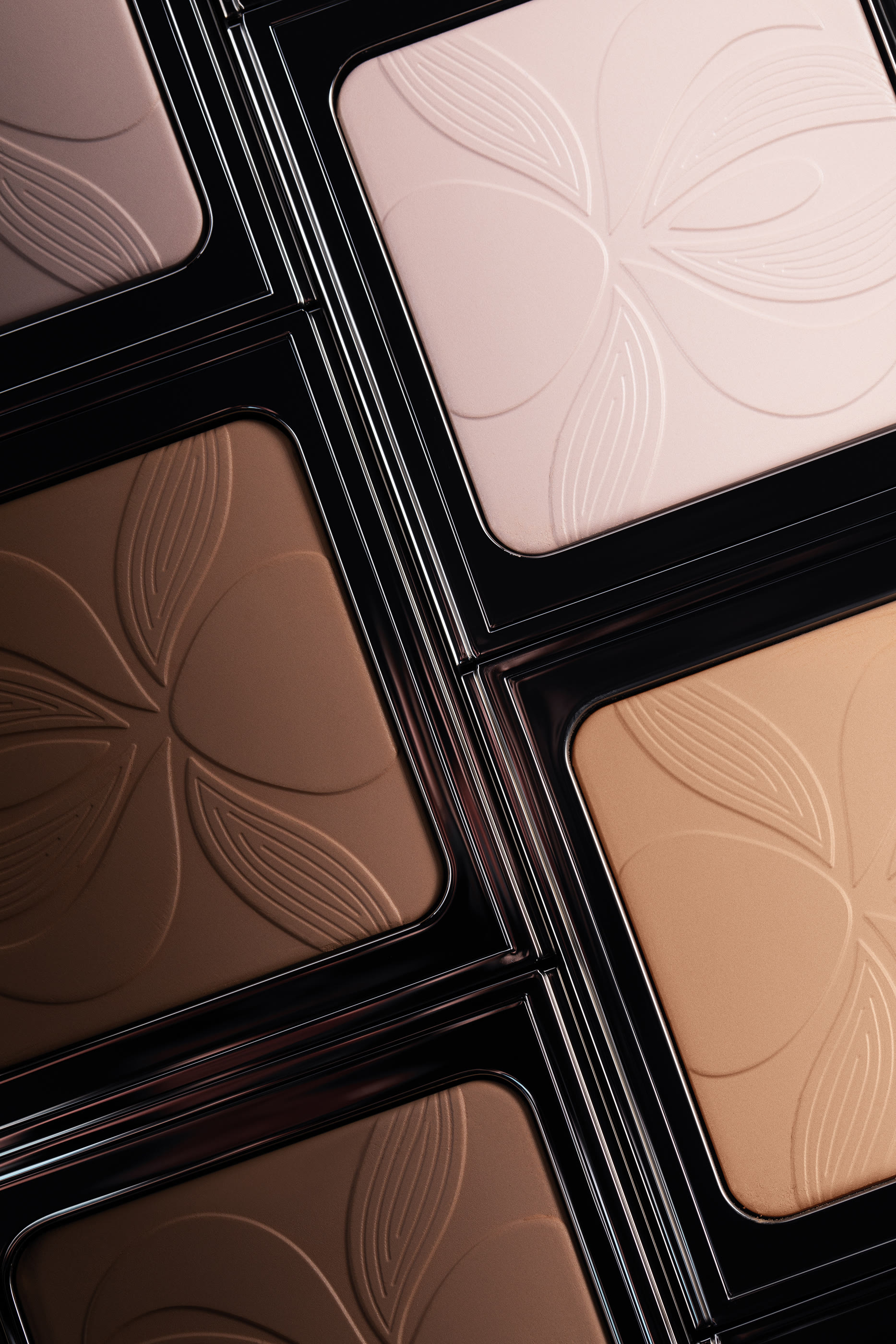 بودرة بلر إكسبيرت