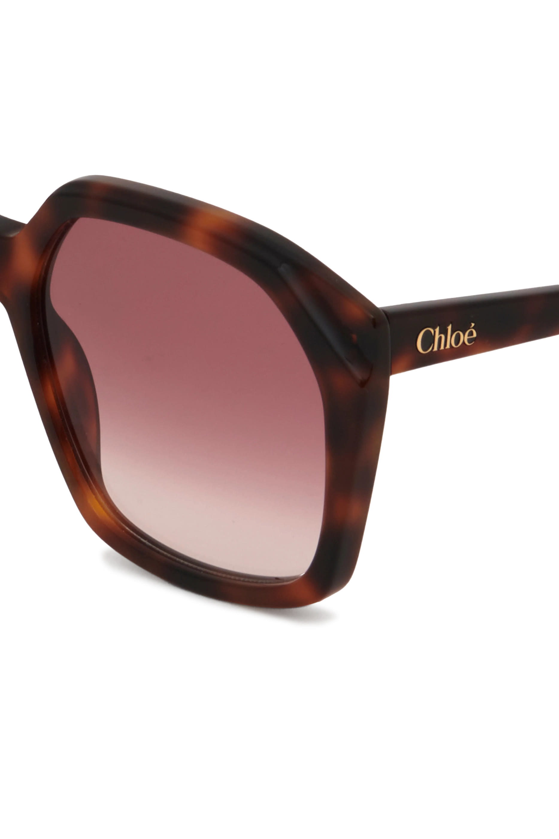 نظارة شمسية سالومي