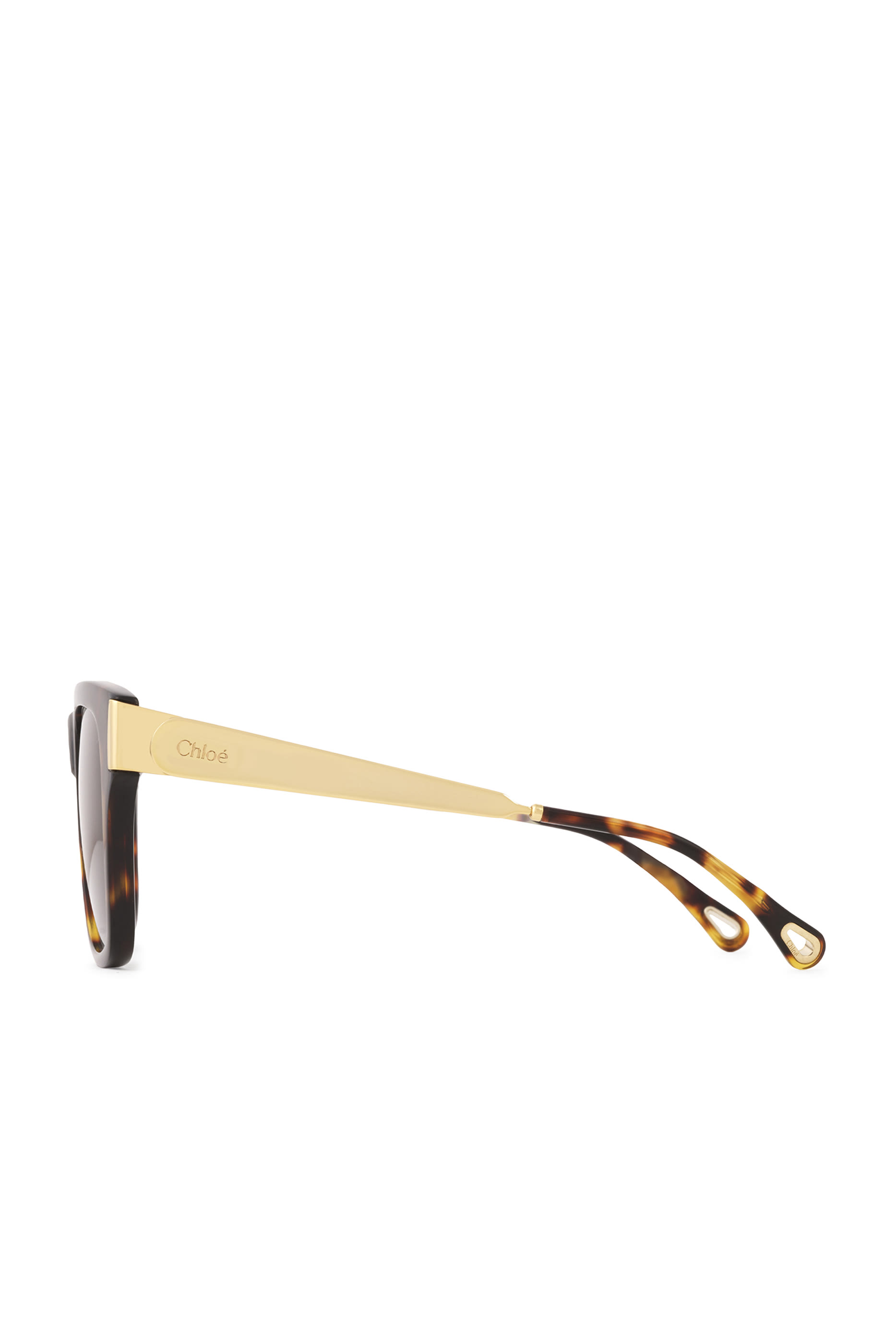 نظارة هولي شمسية