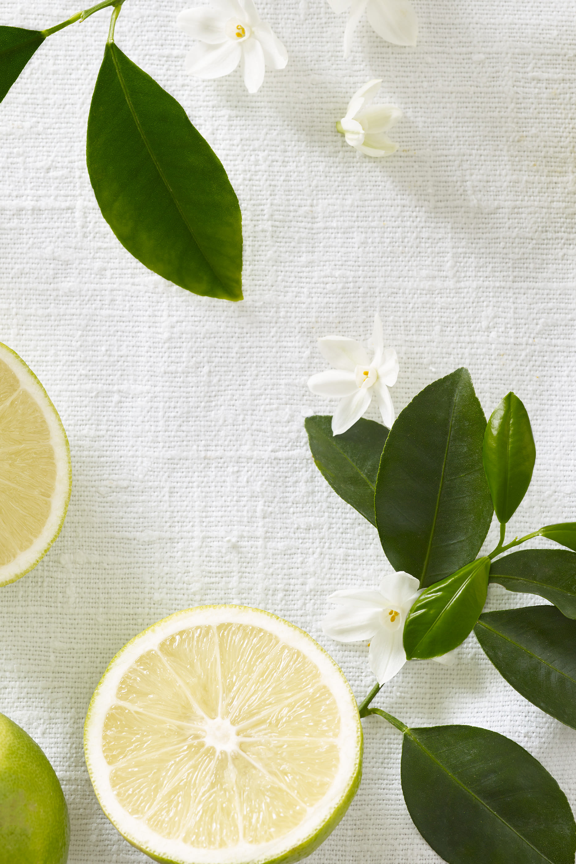 شمعة توسكان غروف كبيرة