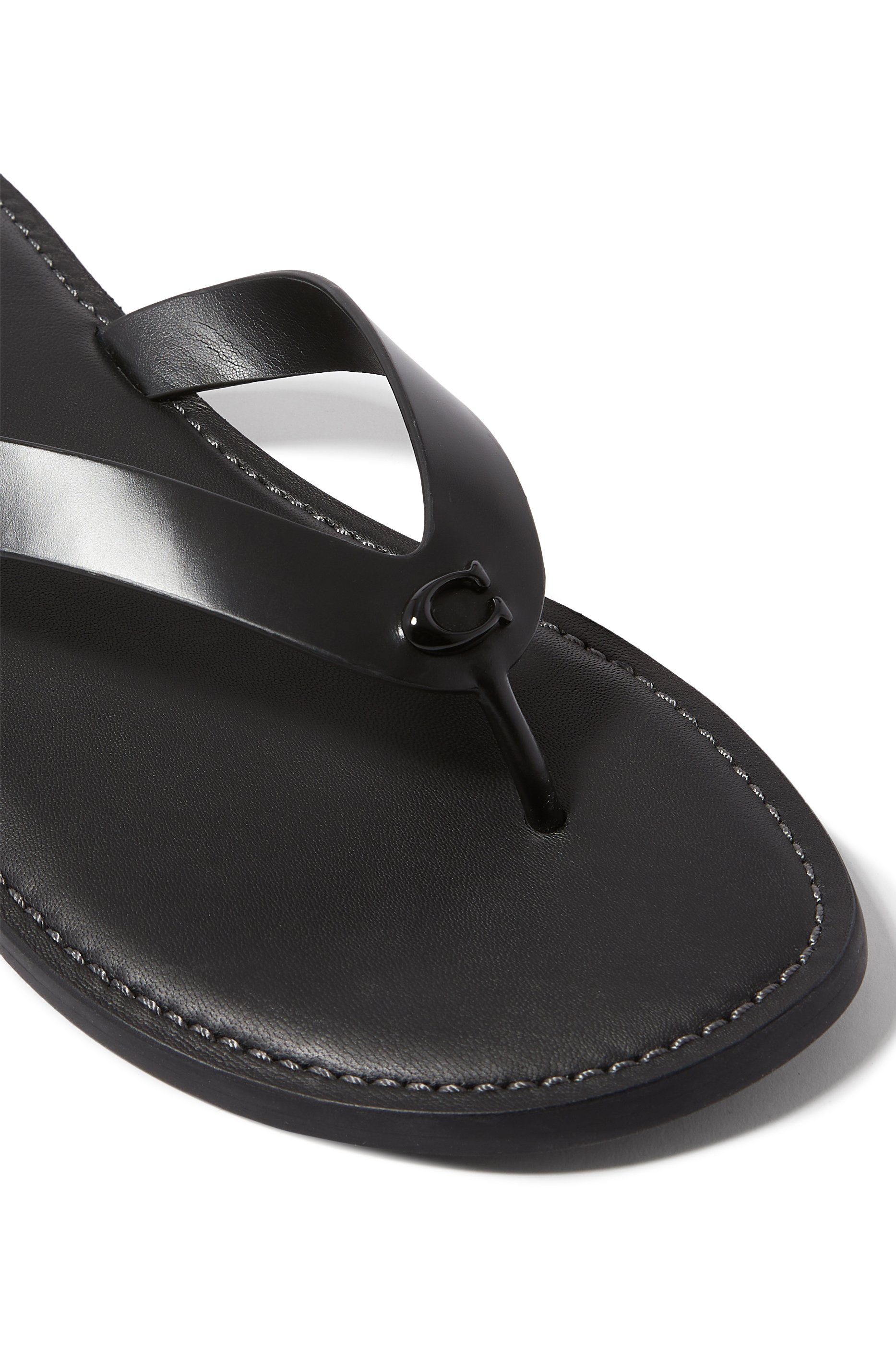 فليب فلوب بريانا