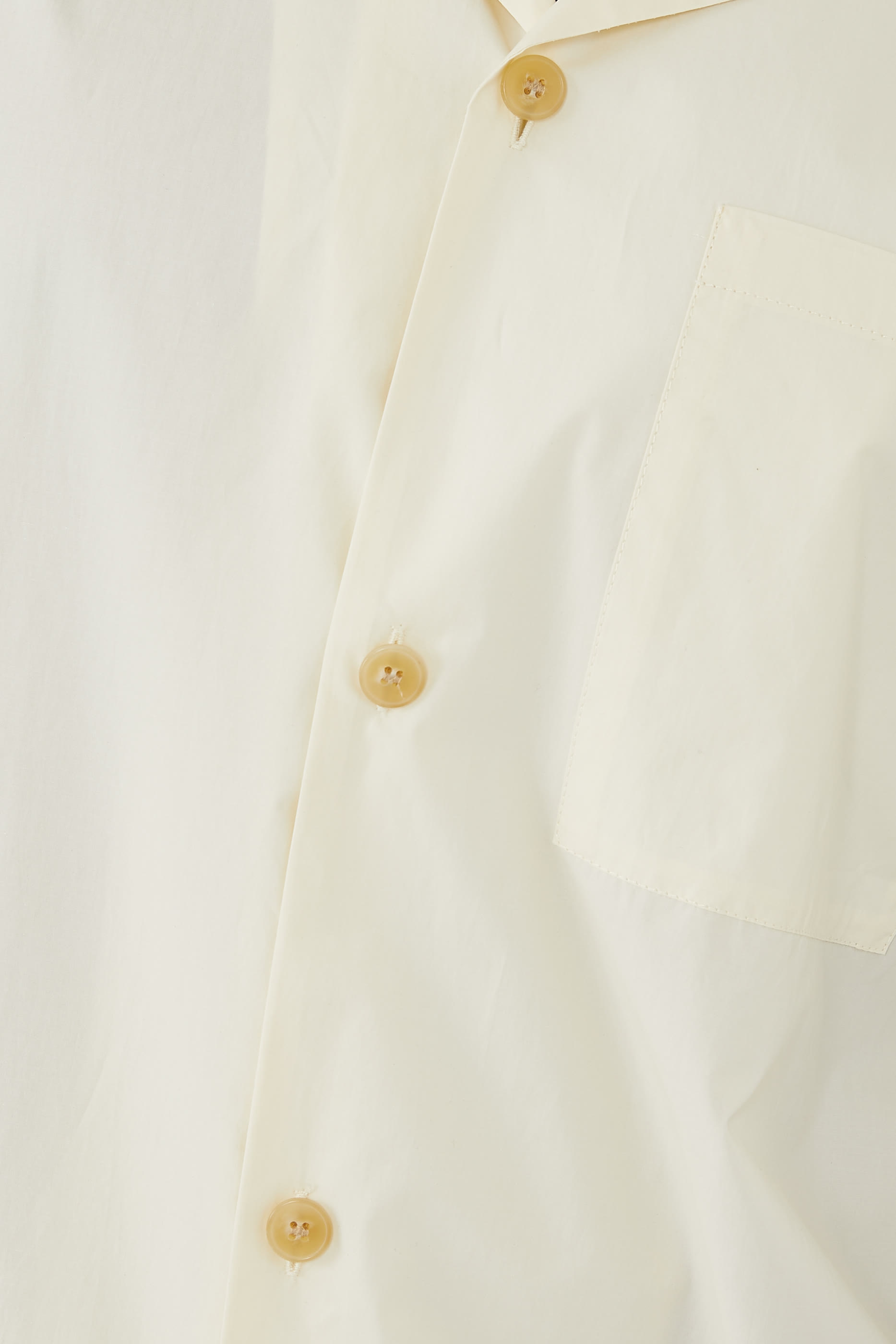 قميص شليم روزورت مجعد