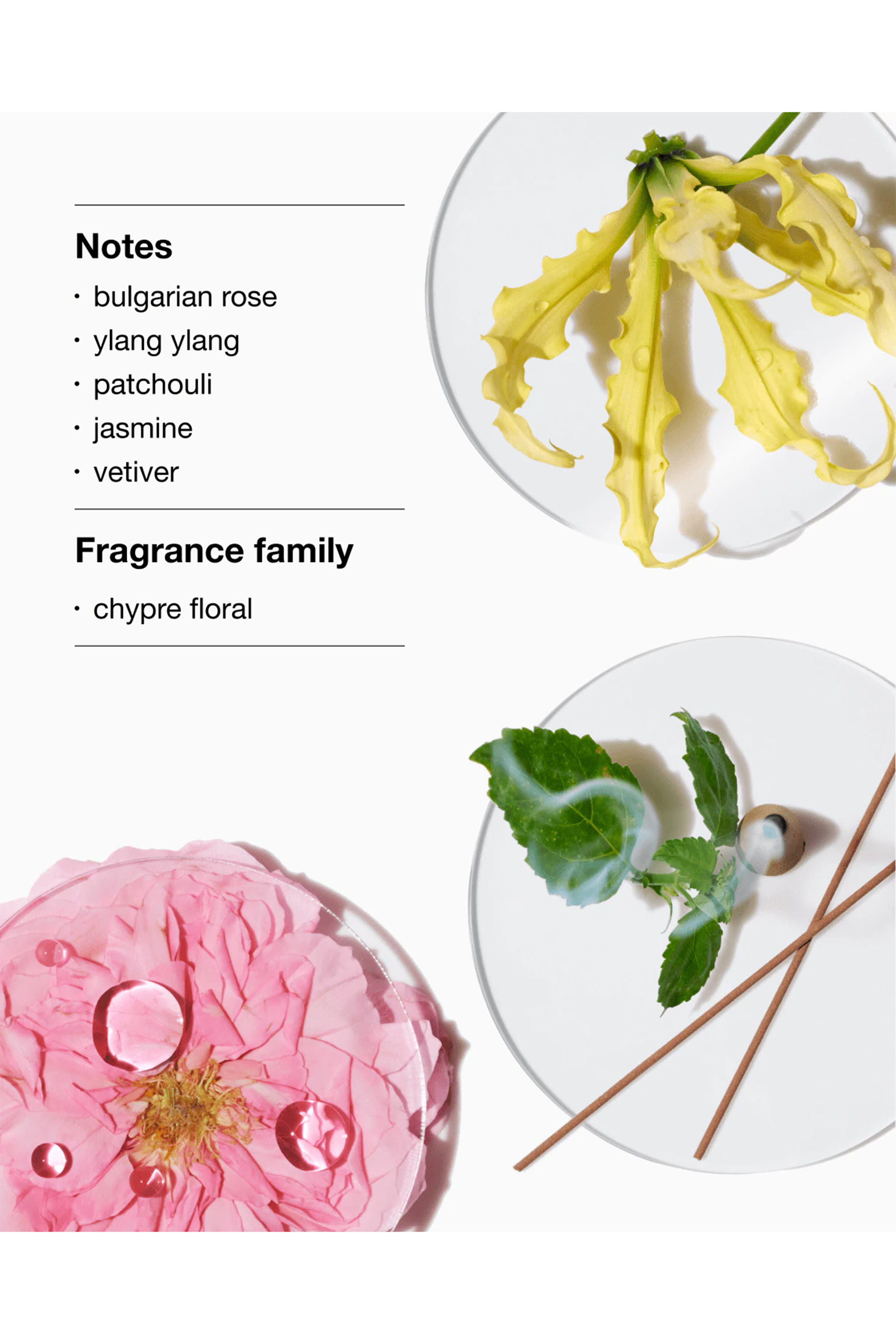 ماء عطر اروماتيكس الكسير