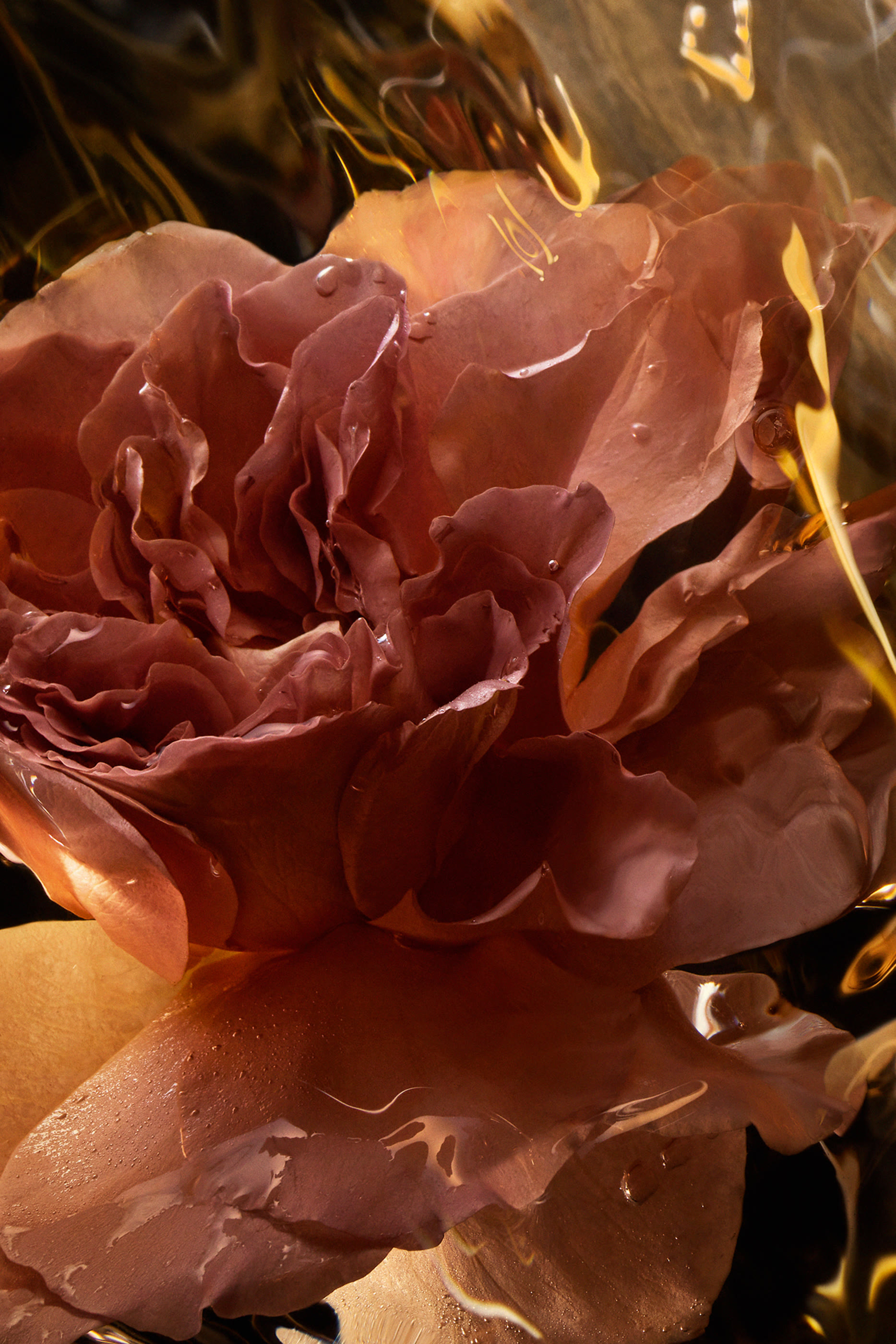 معطر الشعر سانتال رويال