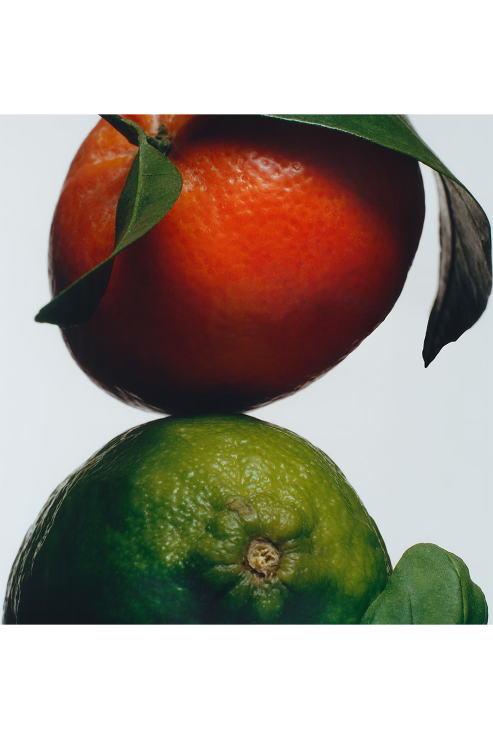 موزع عطر سنت سراوند لايم بيزل اند ماندارين