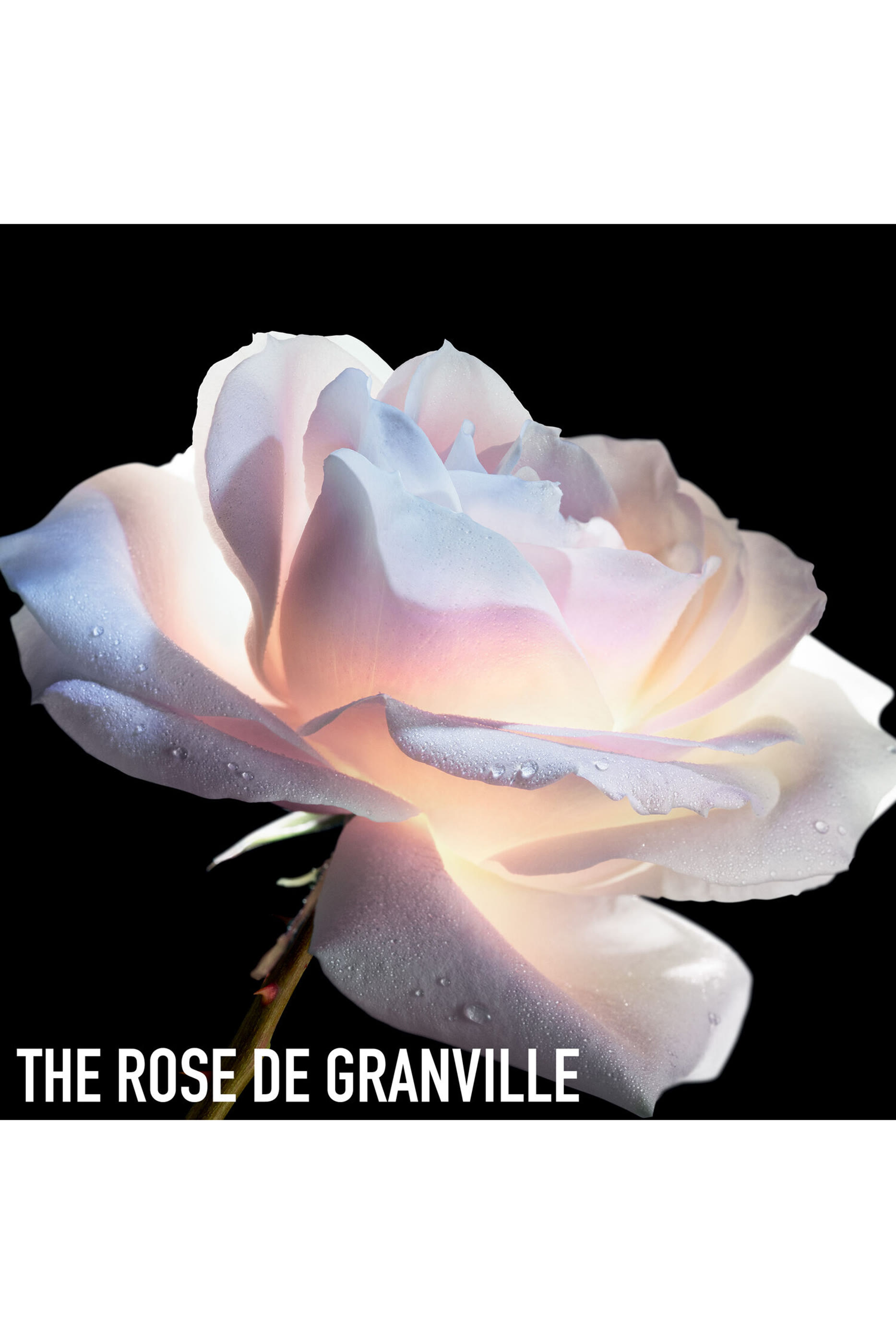 سيروم العين لو مايكرو دو روز يوكس المتطور