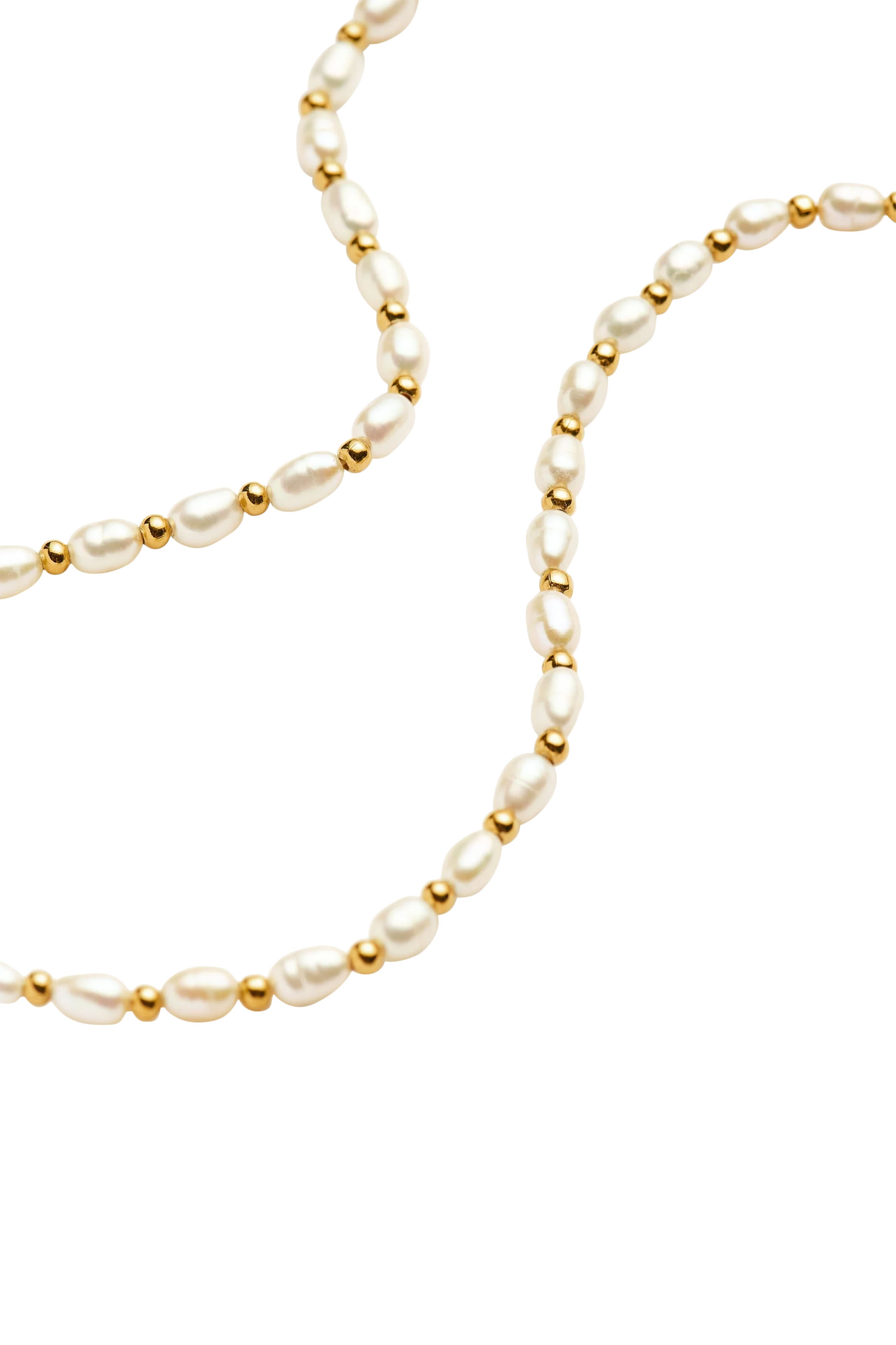 قلادة رقبة سيد مرصعة بالؤلؤ