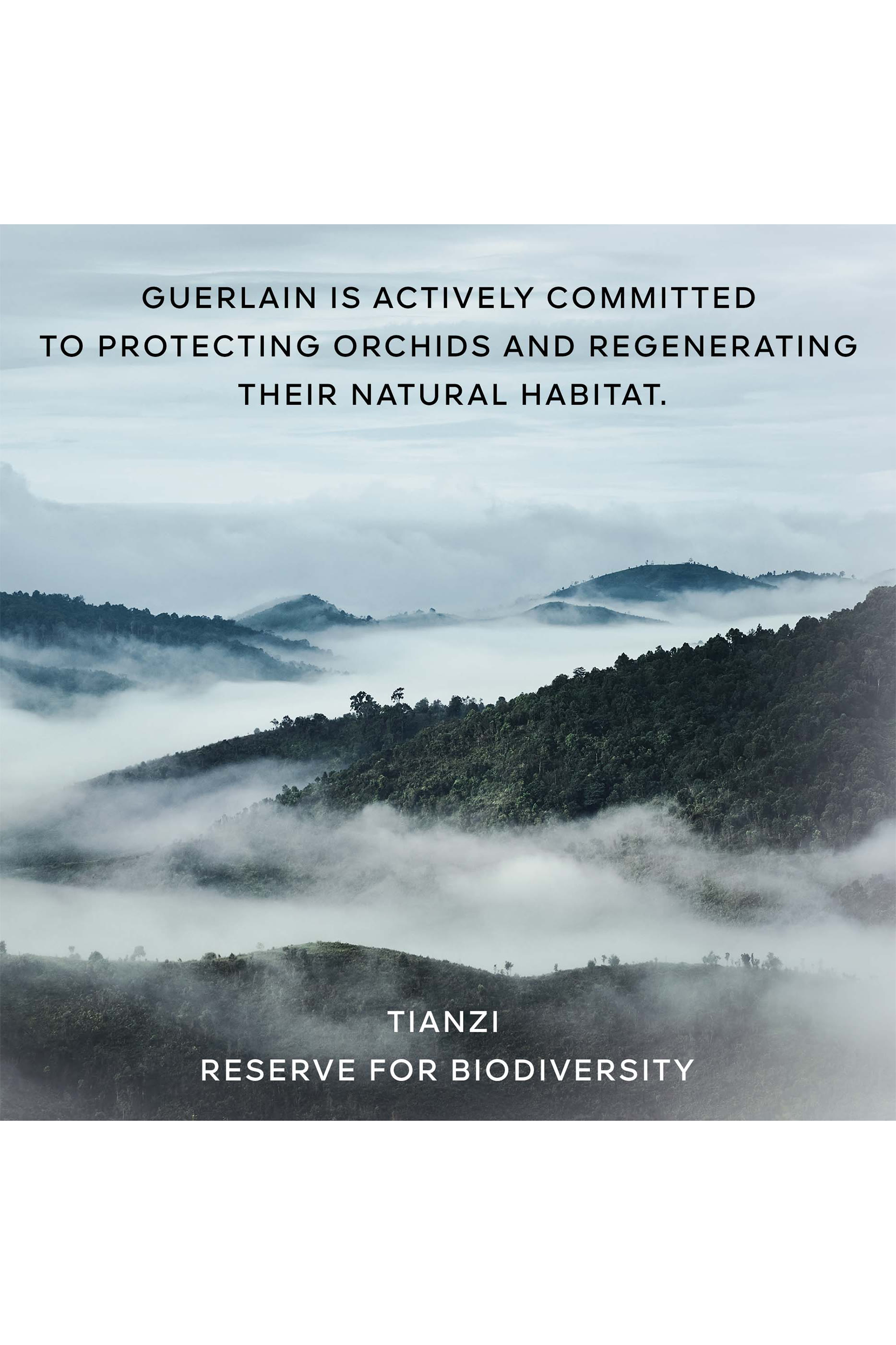 غسول رغوي أوركيدي امبيريال