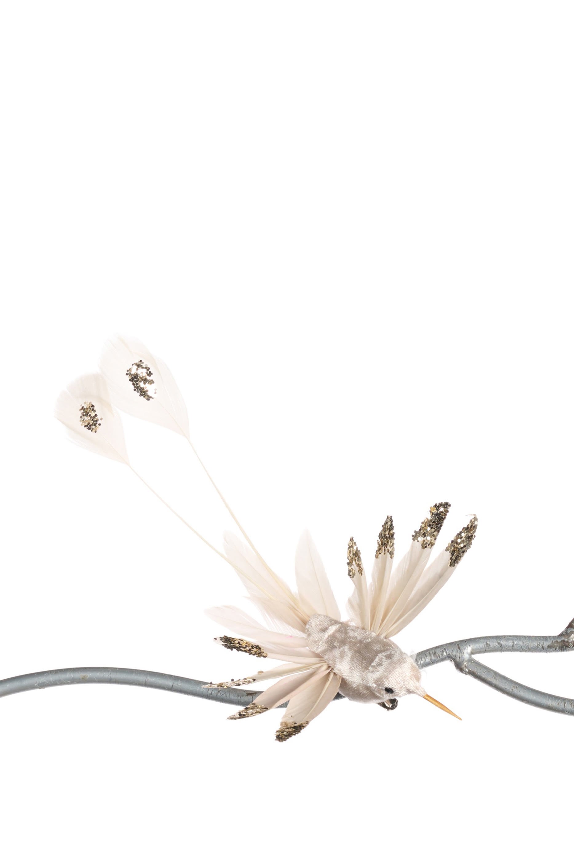 زينة بتصميم طائر طنان على مشبك