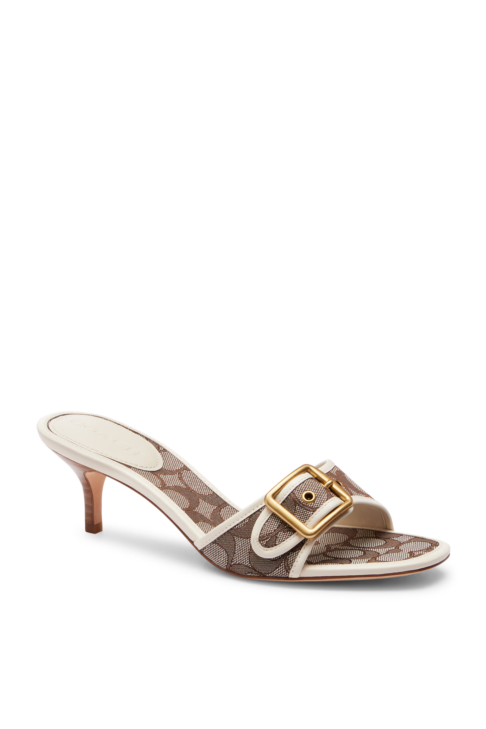 صندل سيغنتشر مارغوت جاكار 57