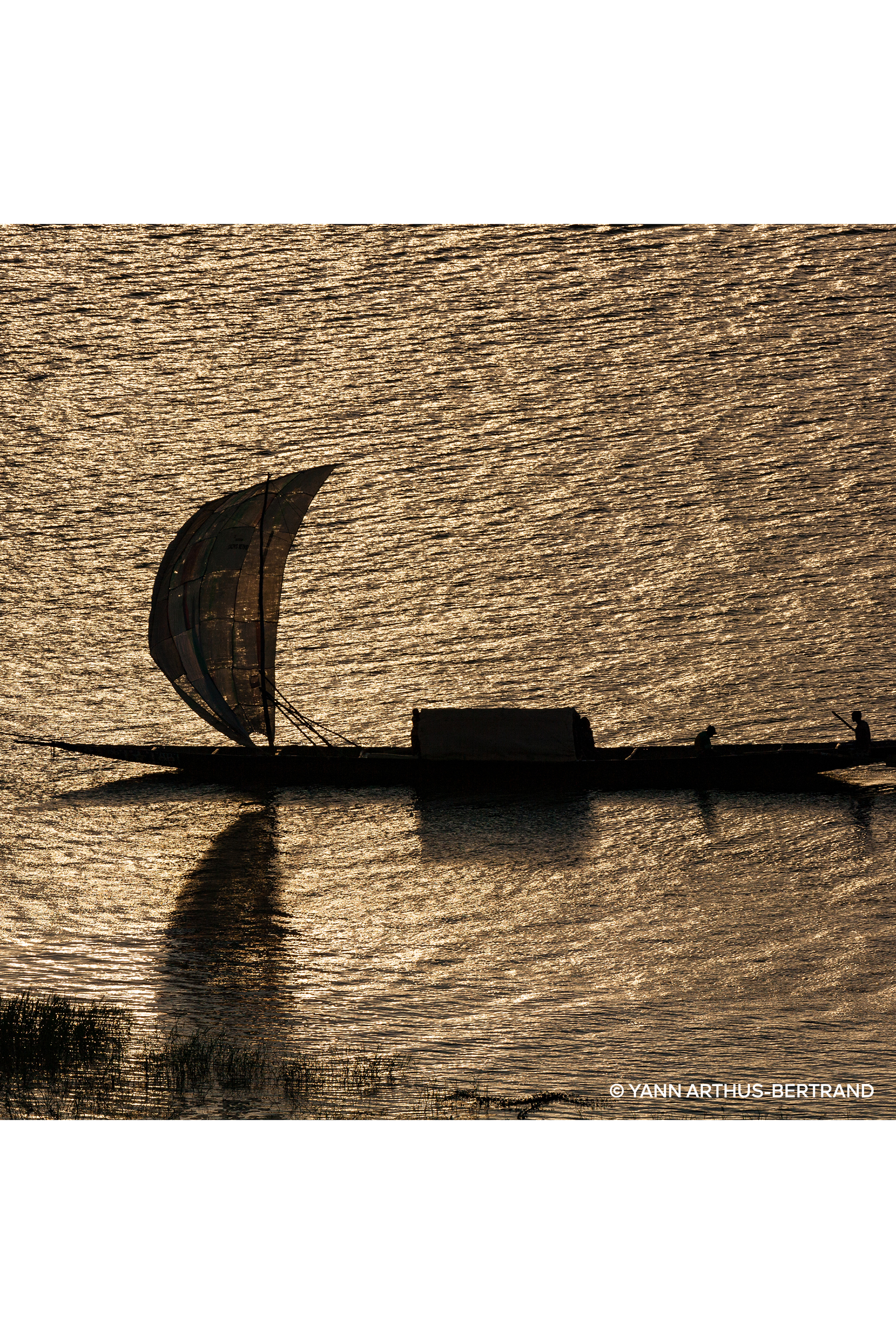 أو دو بارفان ايبيسيز إكسكويسيز