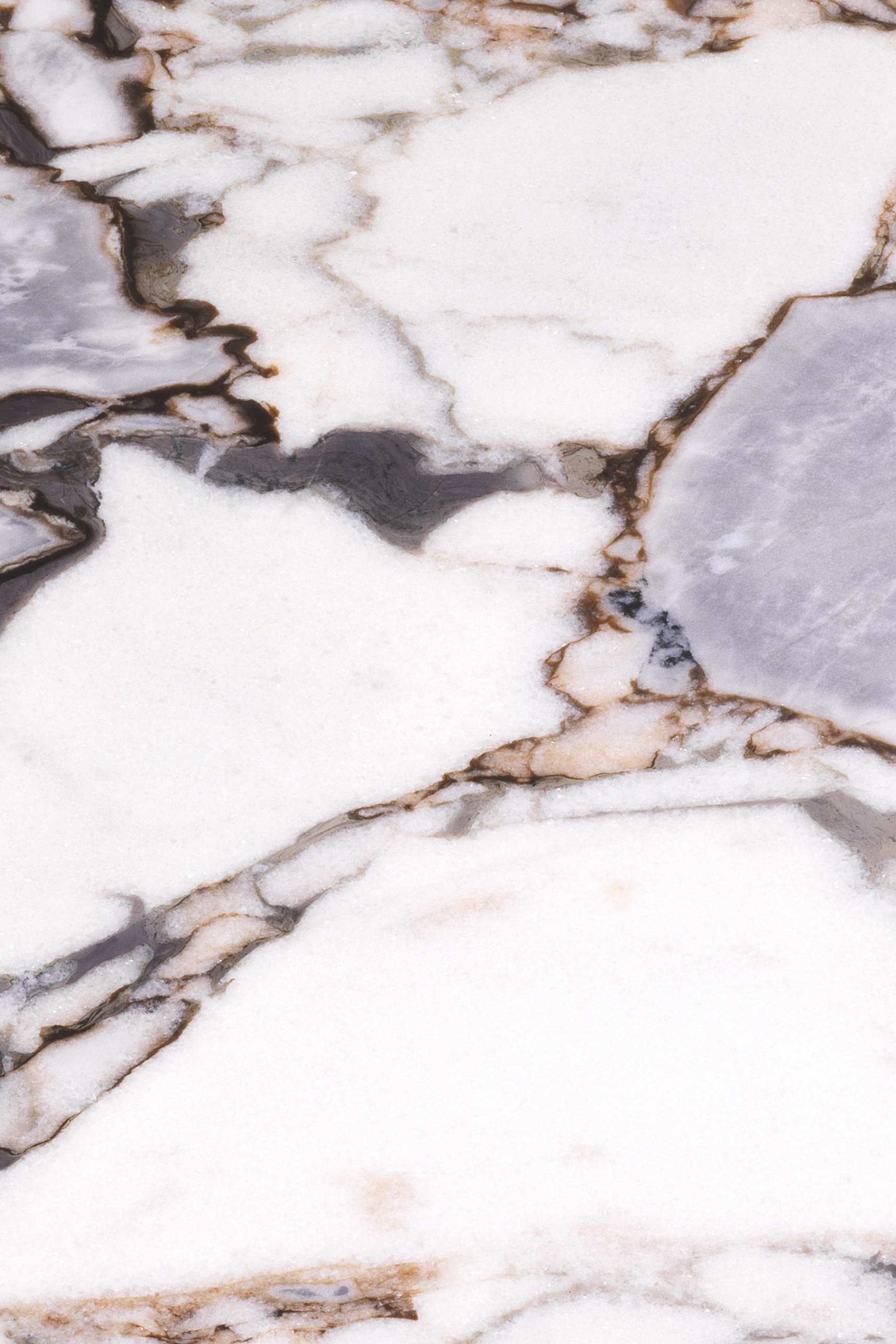 طاولة قهوة شابيرو