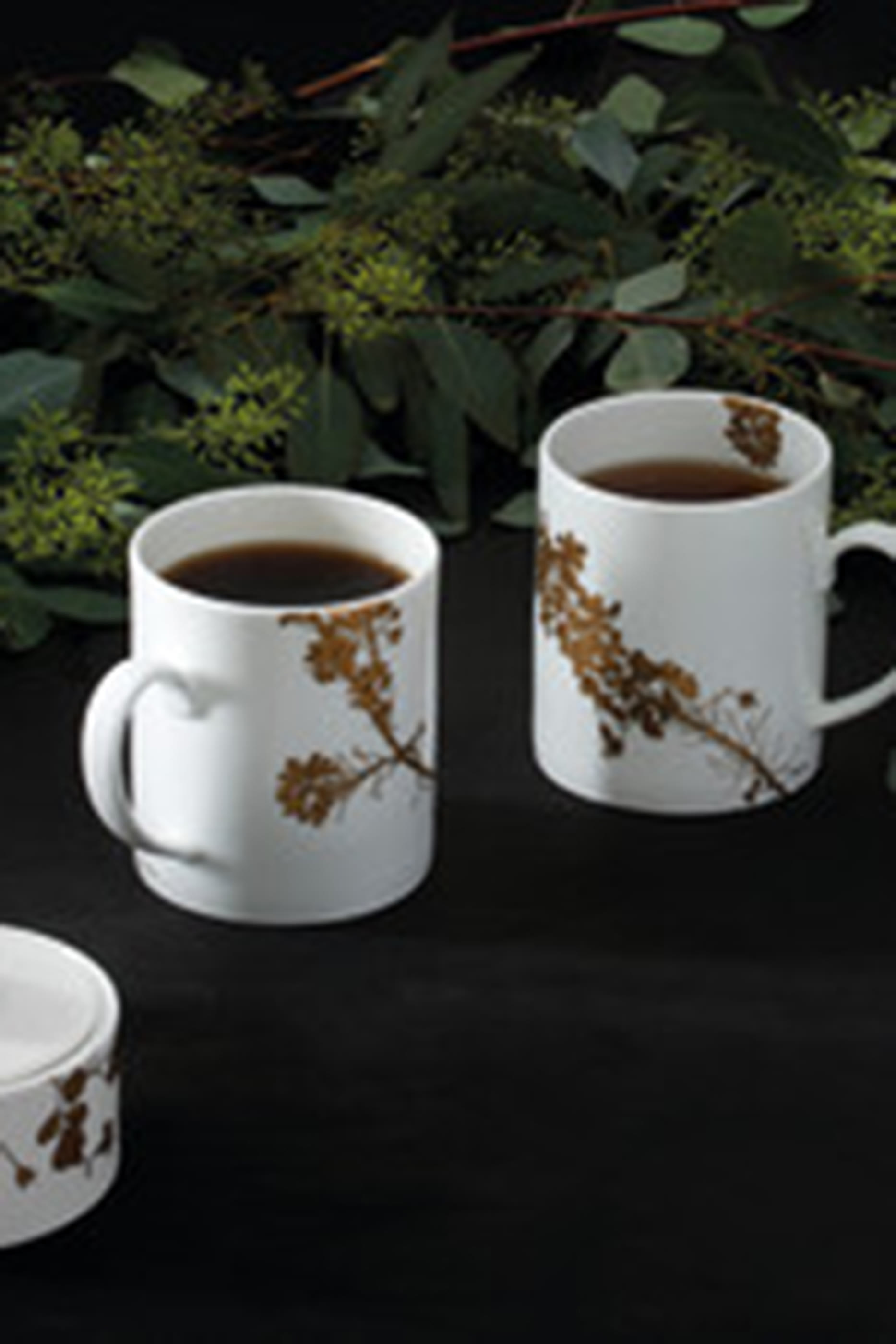 كوب فيرا جاردن