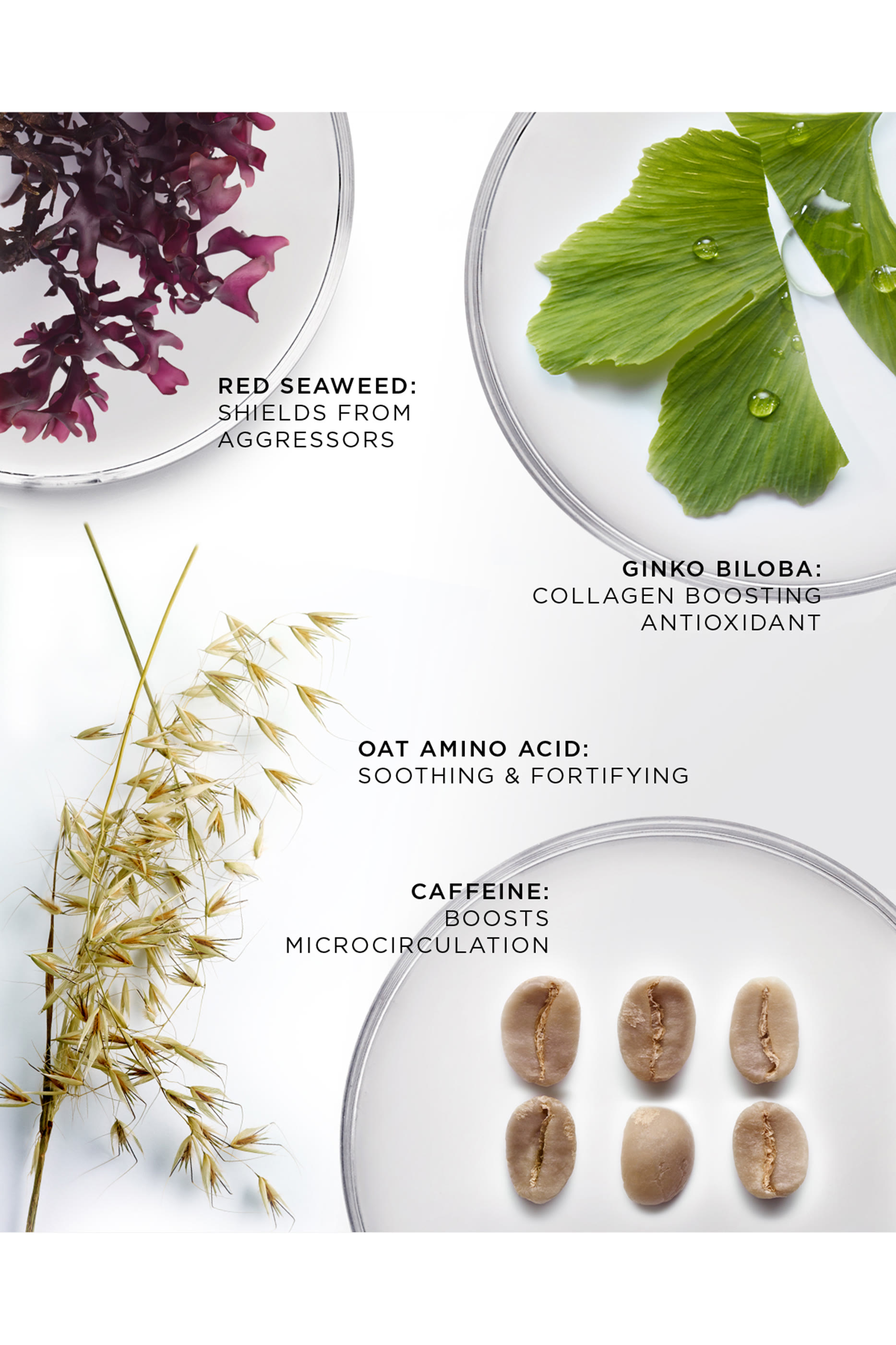 عبوة إعادة ملء كريم العين بريليانت فايبرنت