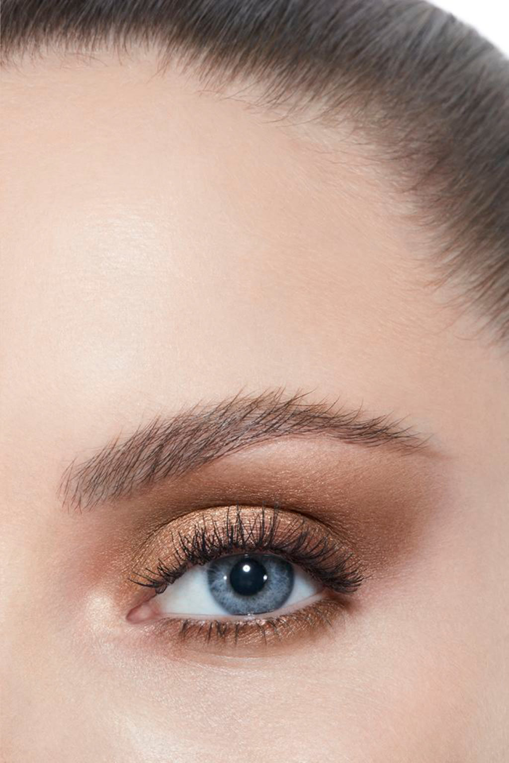 بودرة لتظليل الجفون متعدّدة التأثيرات LES 4 OMBRES