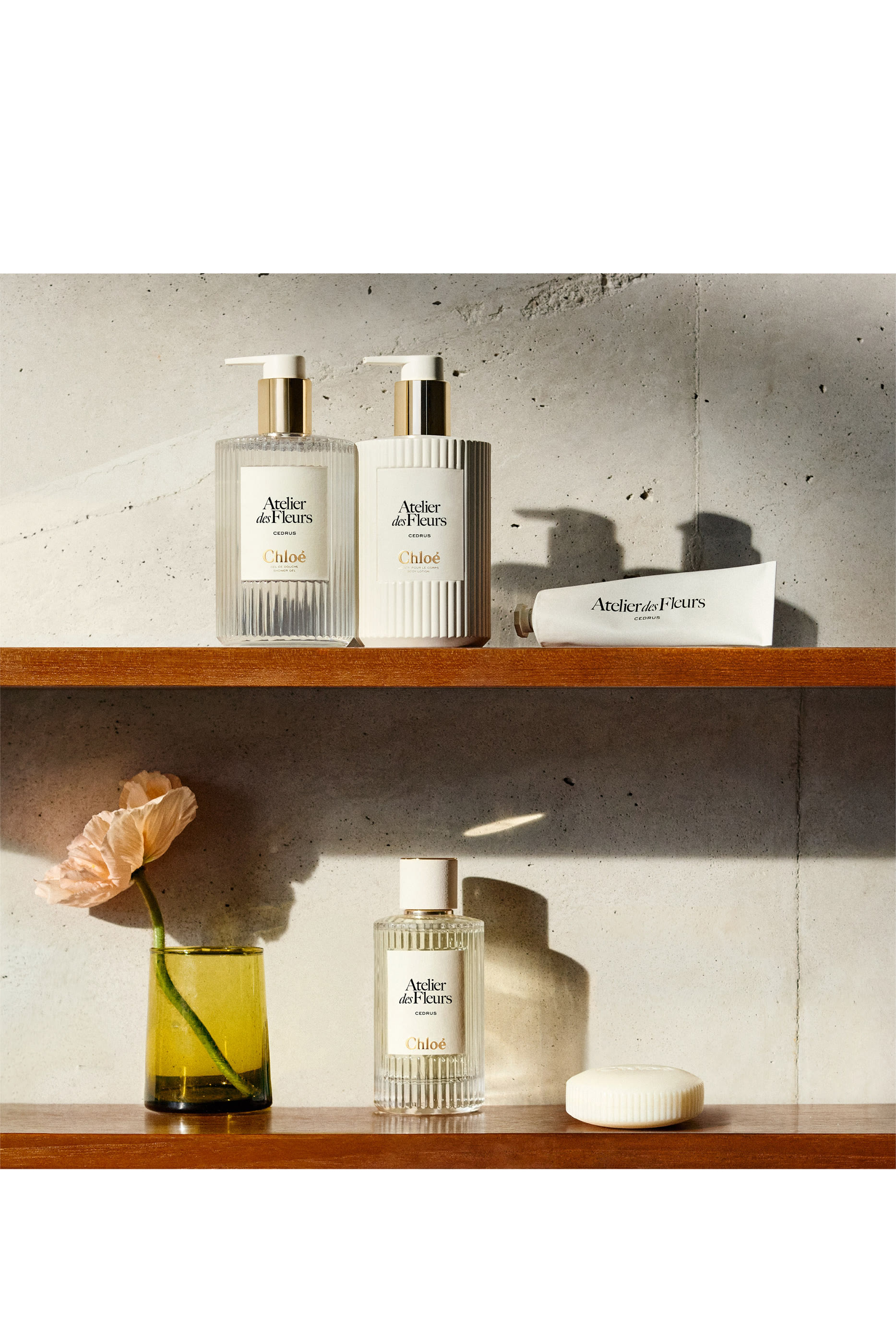 لوشن ماغنوليا ألبا أتولييه دي فلور معطر للجسم