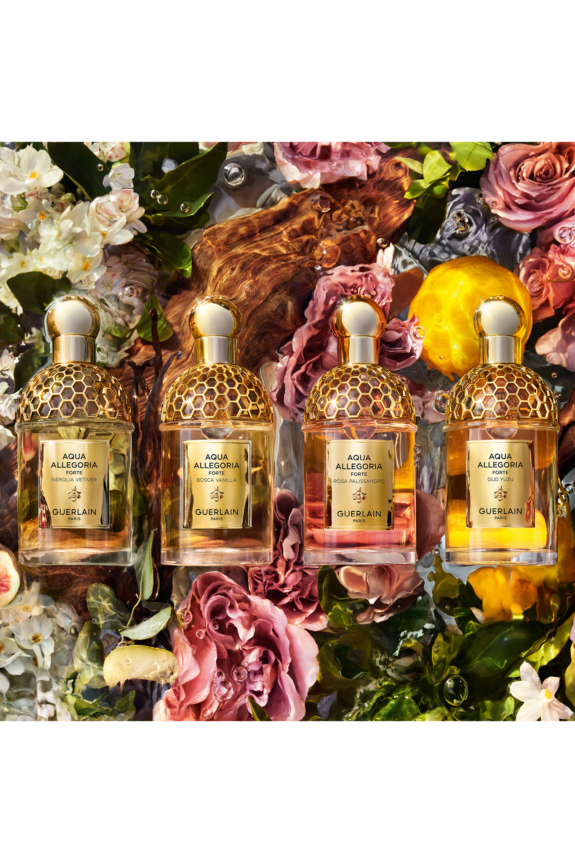 أو دو بارفان اكوا أليجوريا فورت عود يوزو