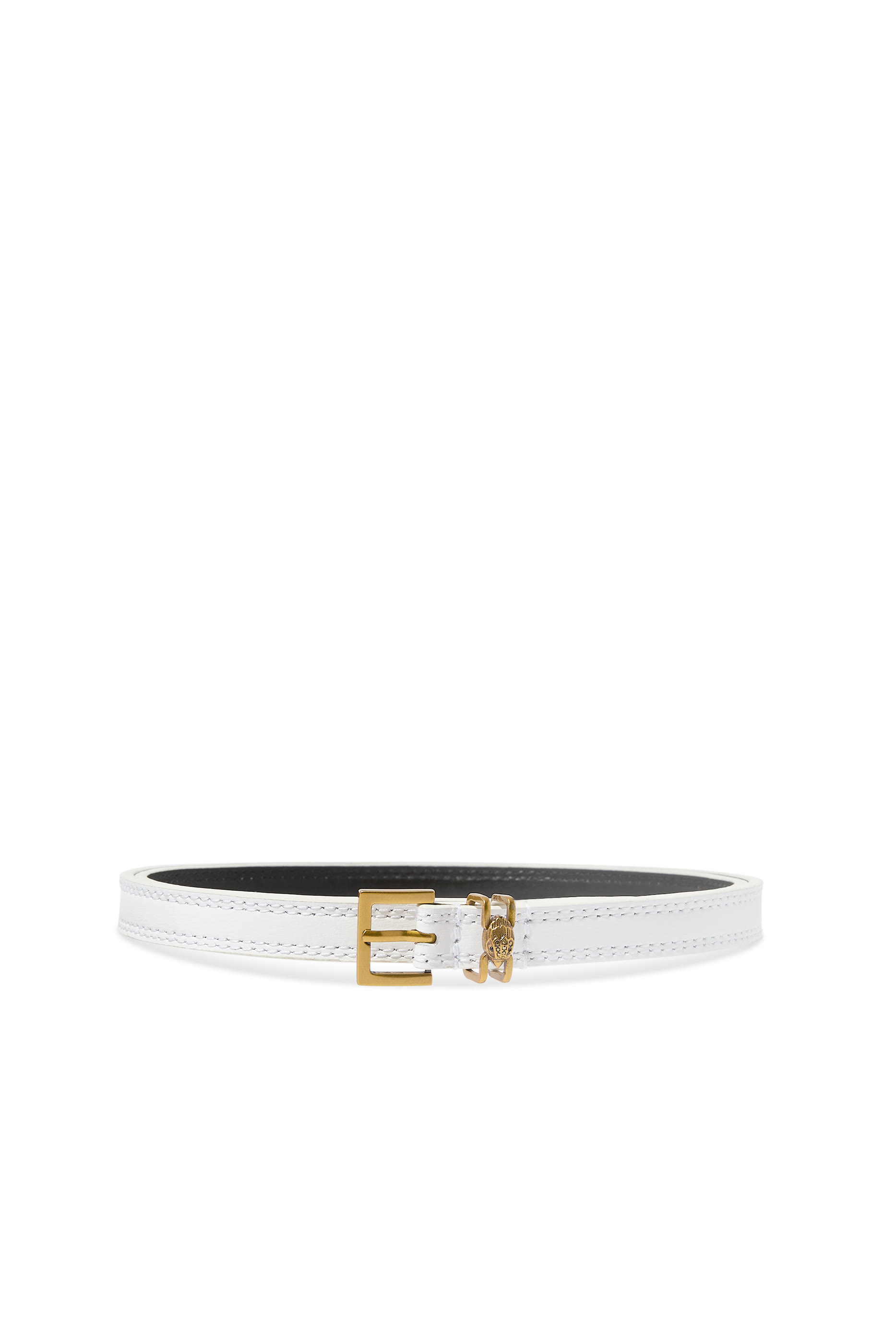 حزام شروديتش جلد