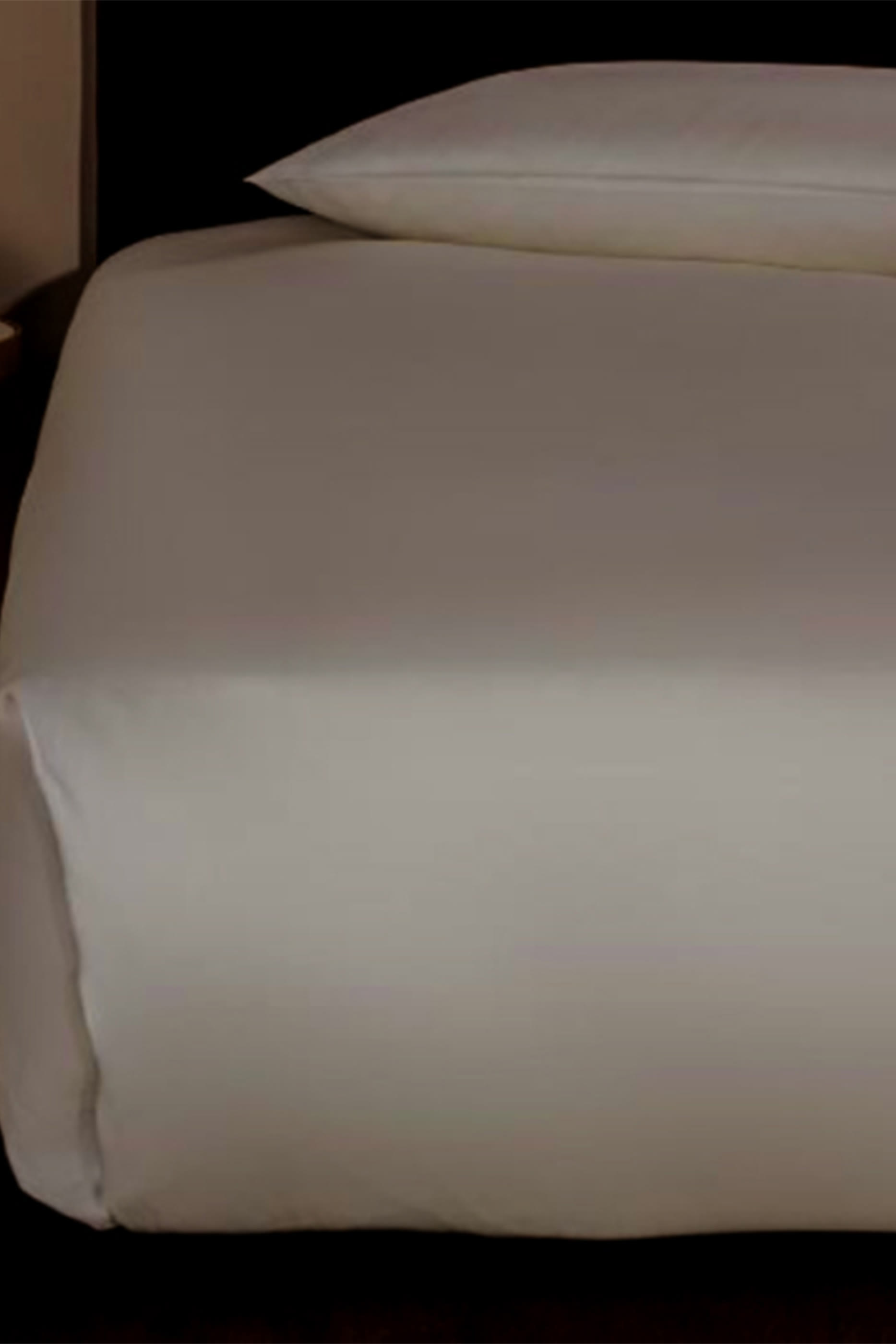 شرشف مسطح كوتون سافج بيج