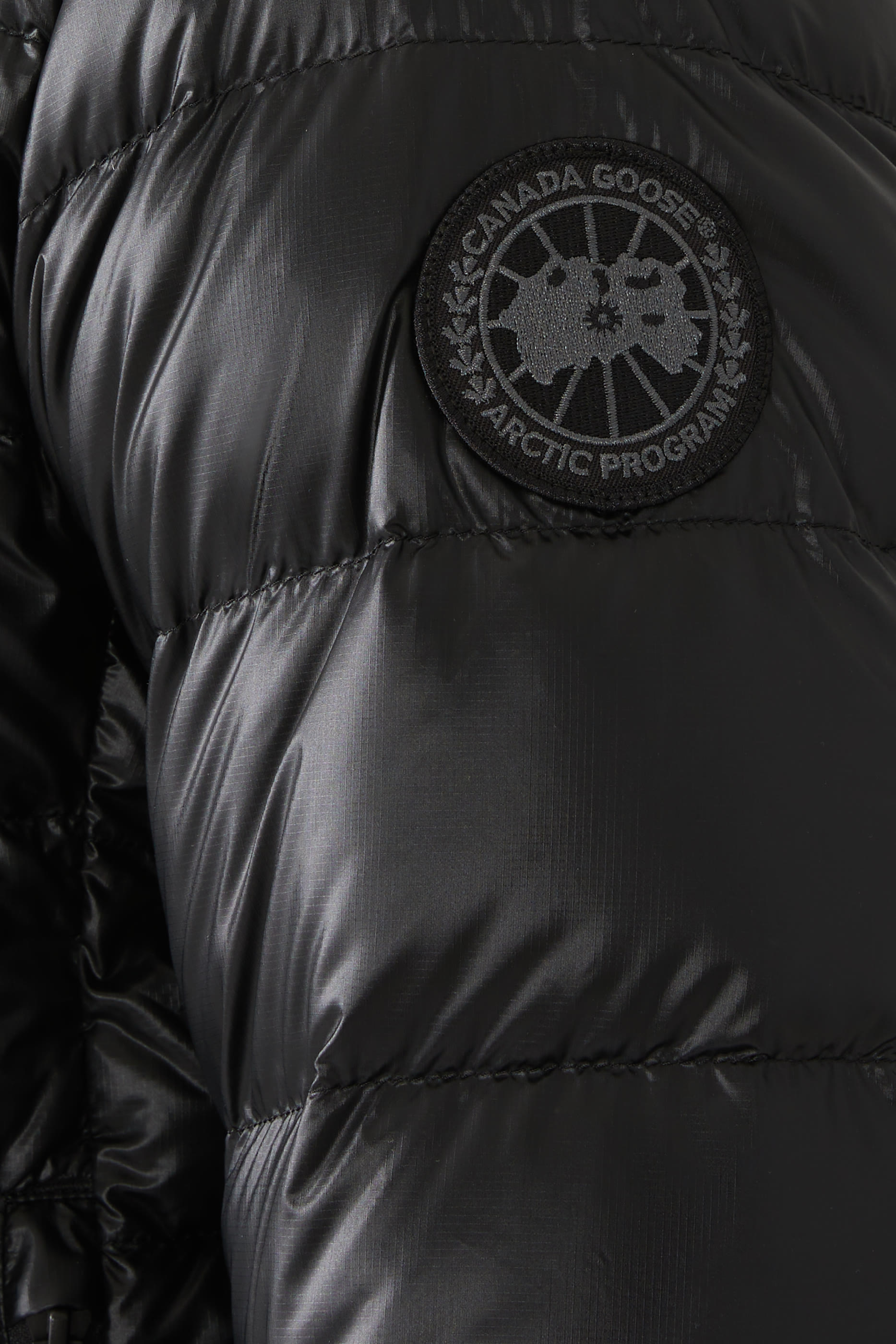 هودي كروفتون